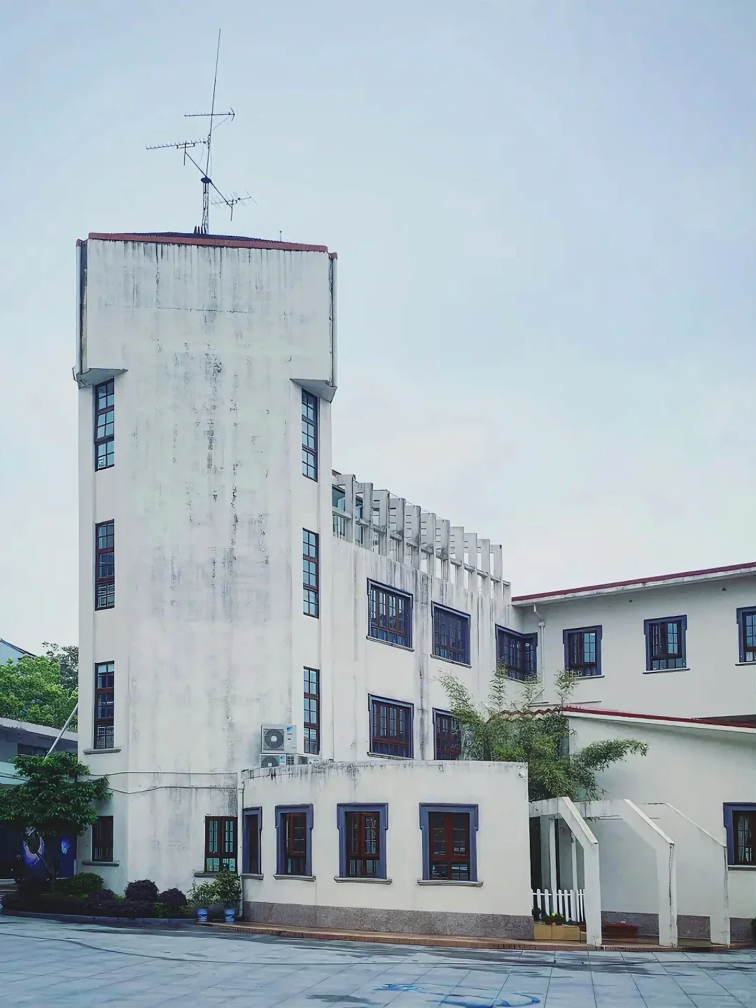 现在居然可以用中国身份进入国际学校？？