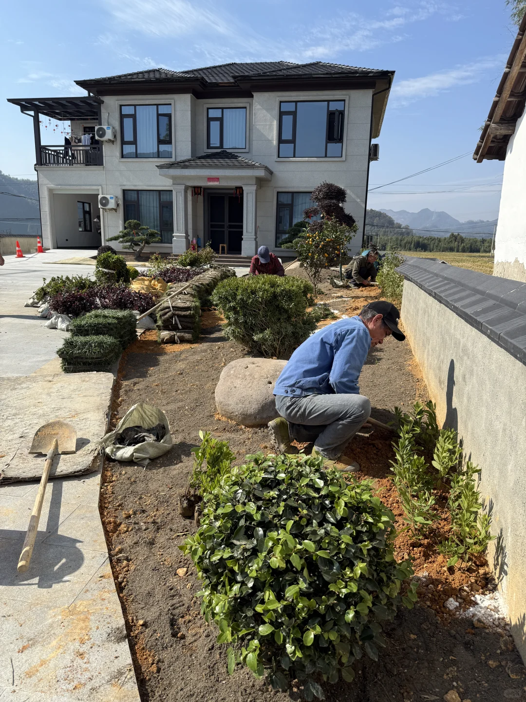 自建房小院开始种花花草草啦????