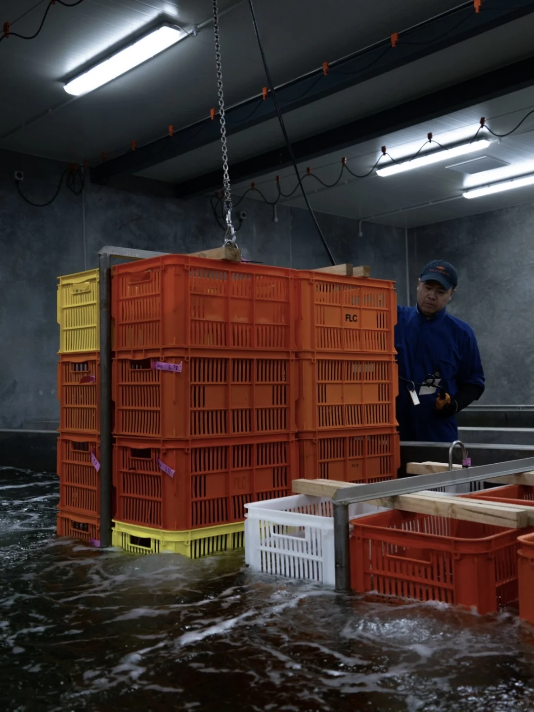 运输流程新升级?完成清关手续只需3小时？