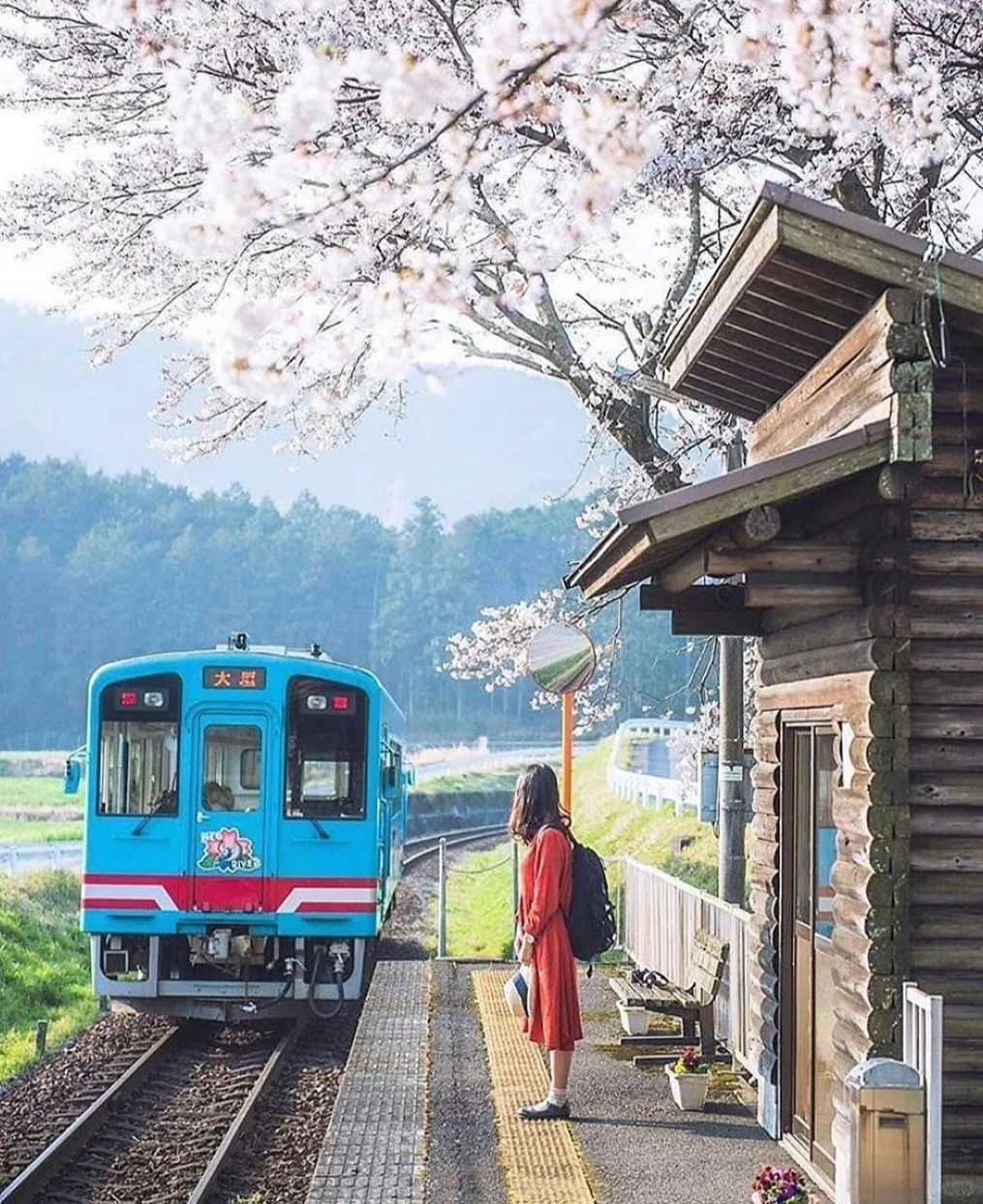 火车|列车|绘画素材分享|审美提升