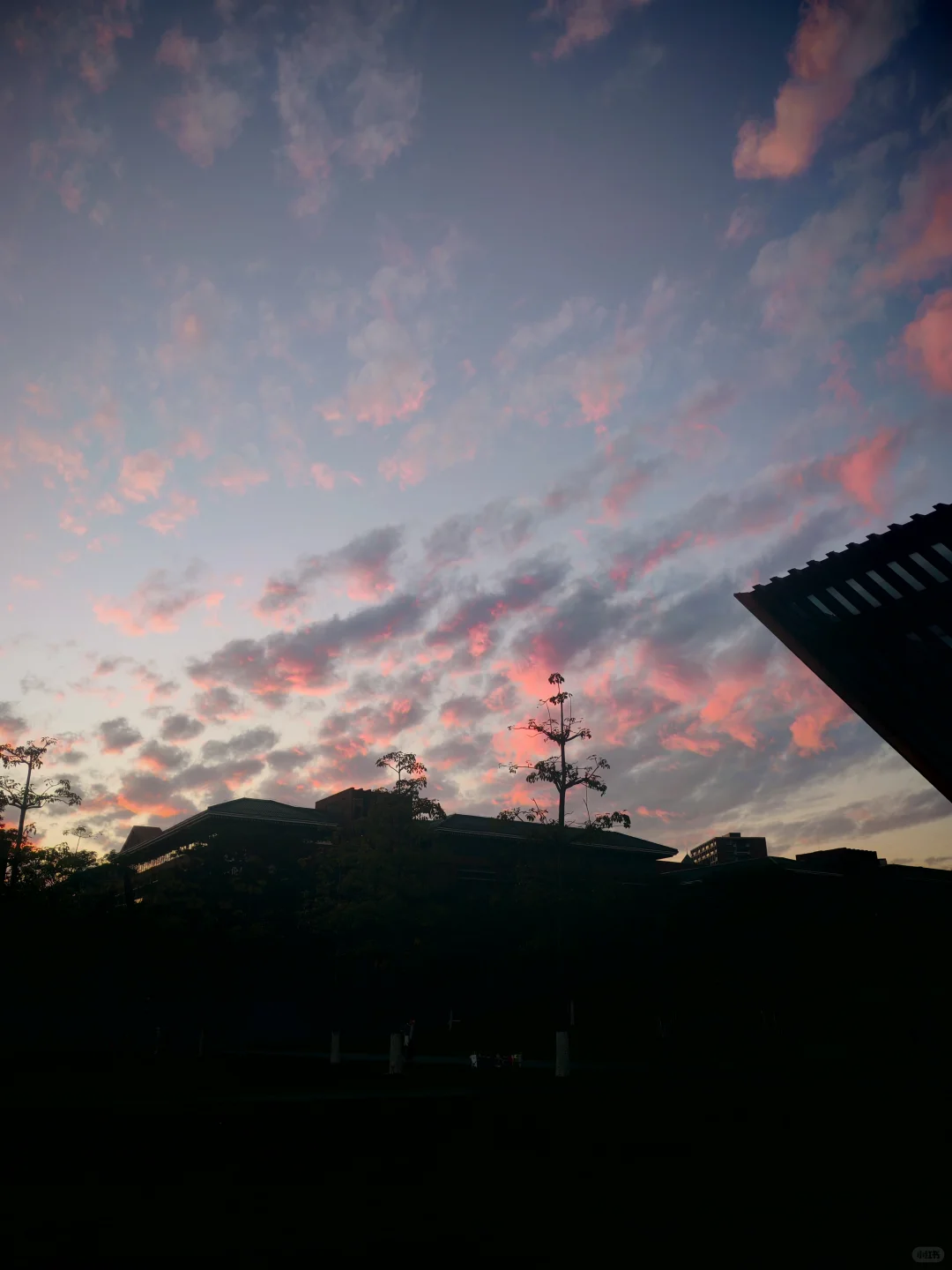 我的华工国际文化节碎片掉落中