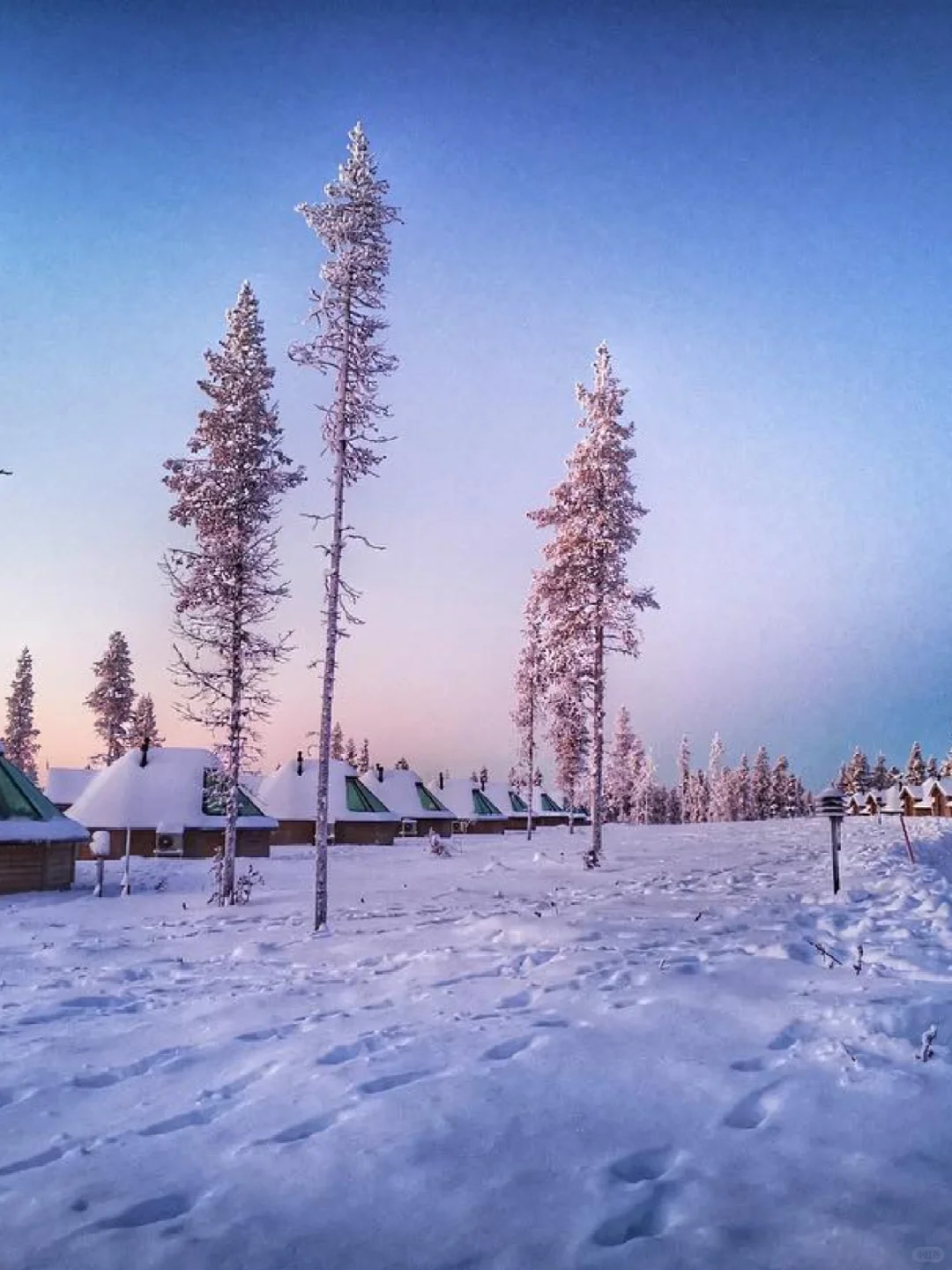 北欧追光：帝王蟹+玻璃屋，一价全含！