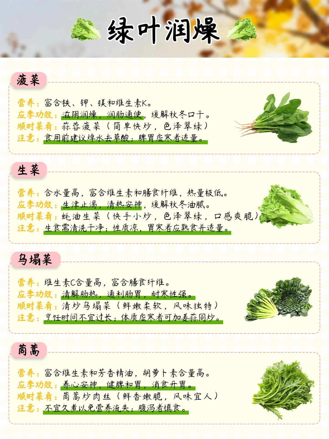 11月吃什么蔬菜？顺时养生?暖身应季菜TOP16