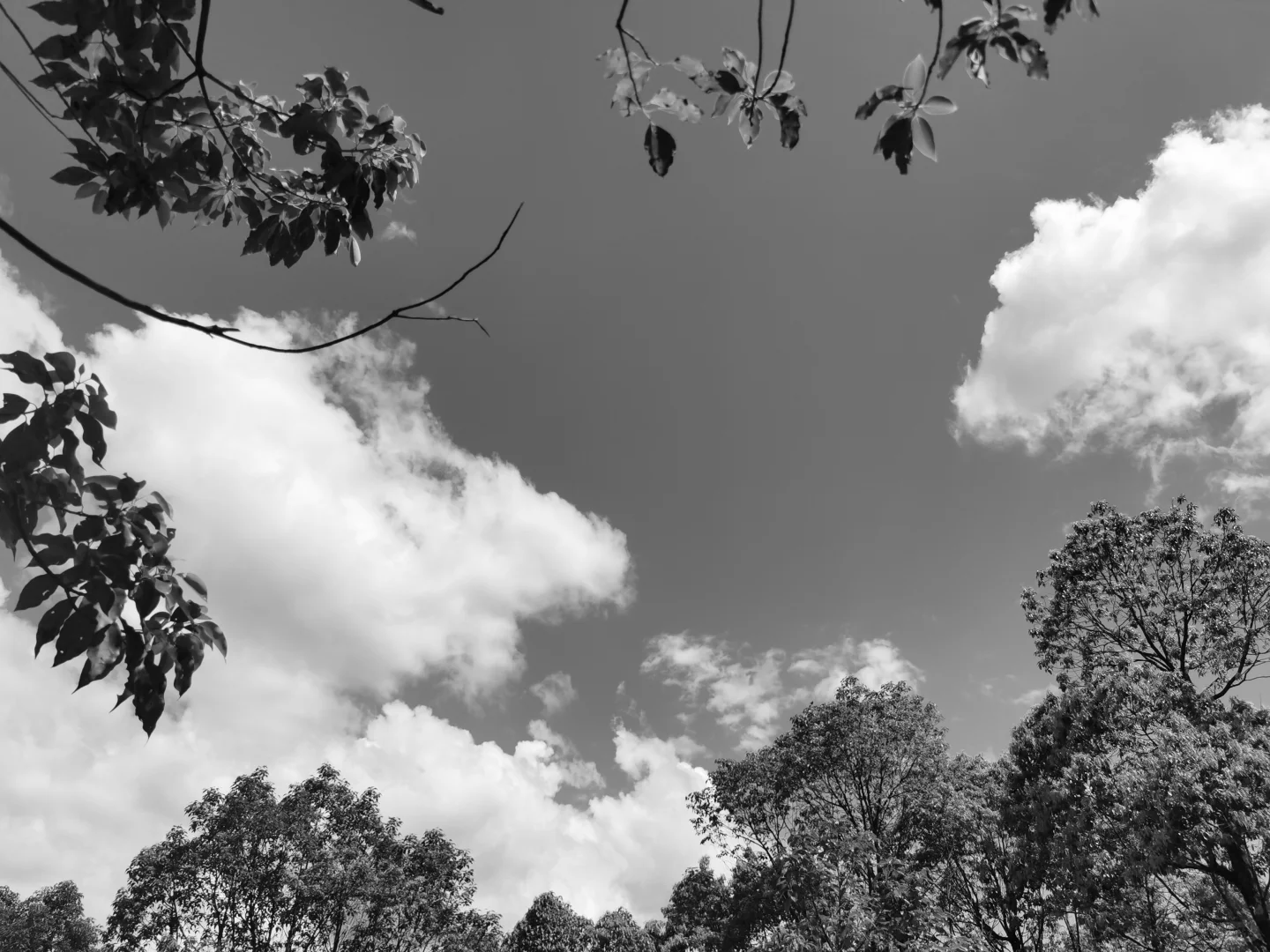 乡村农旅创业过程中未曾预料的几点忠告