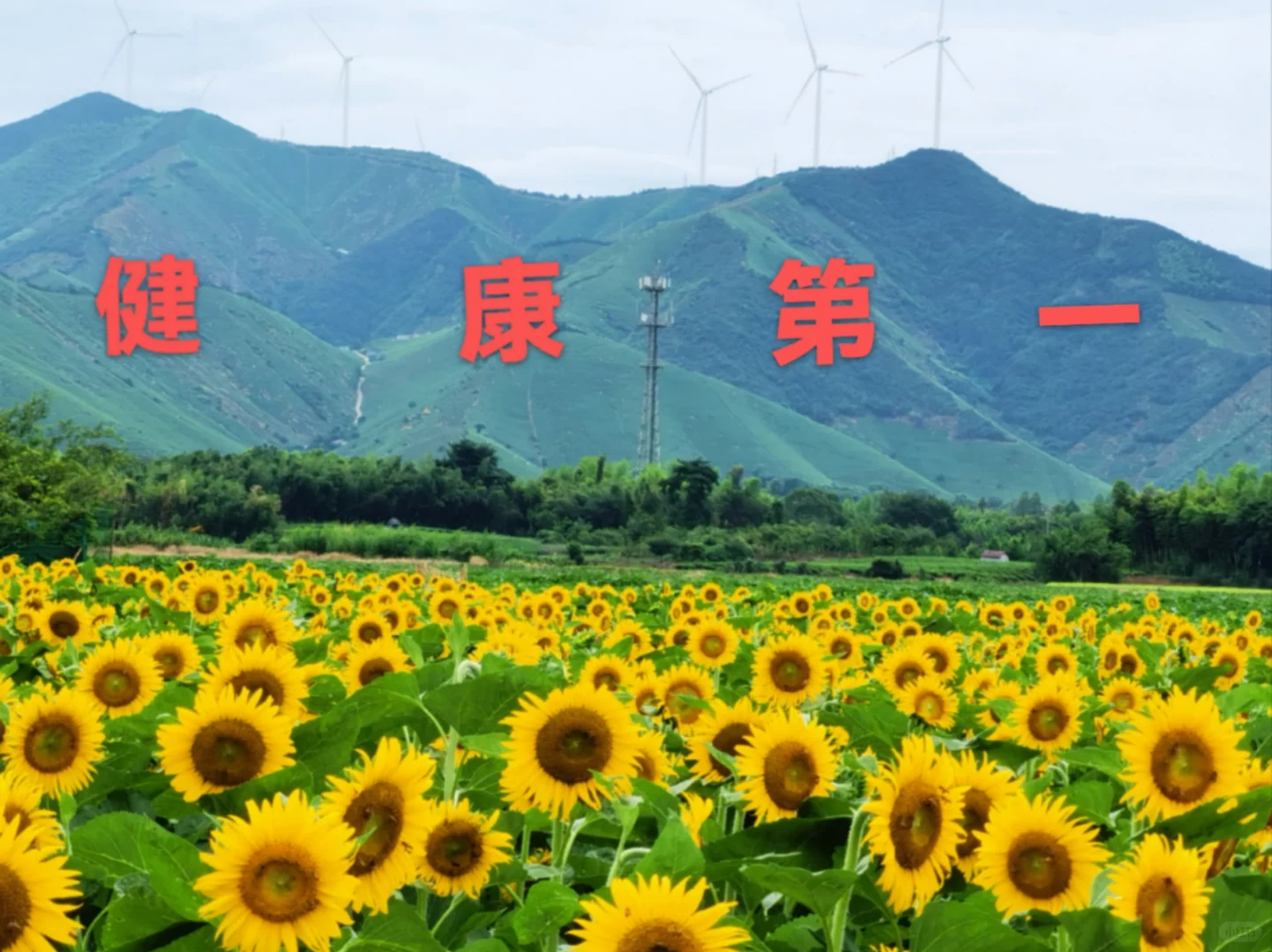 如何开发农村旅游资源？