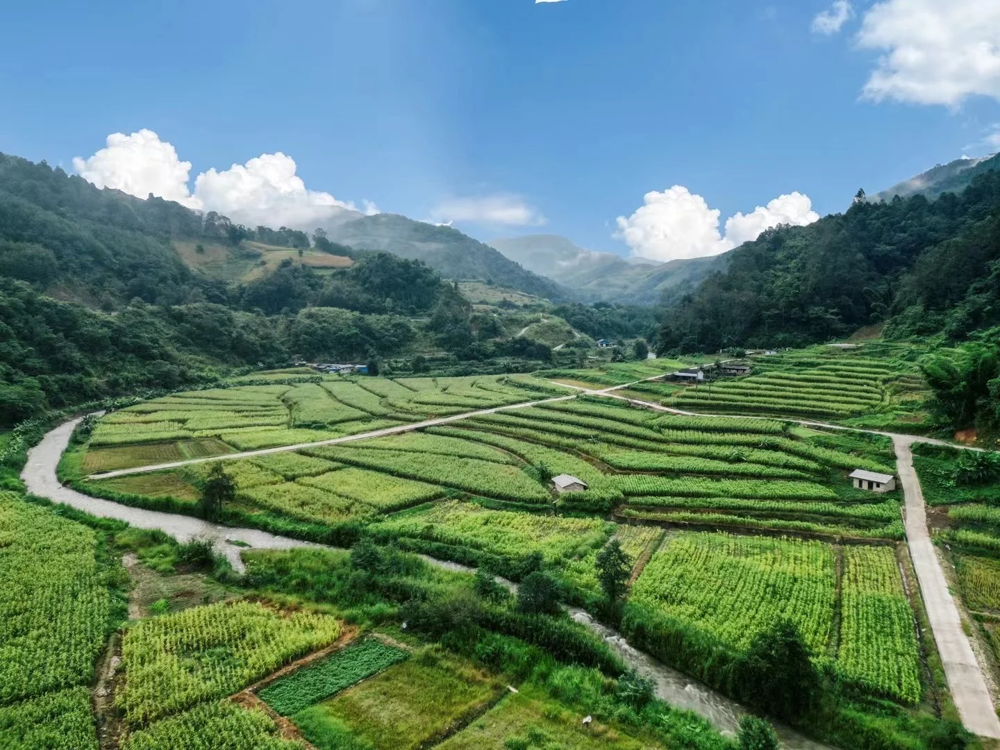 90后二胎宝妈，宁愿种玉米也不打工