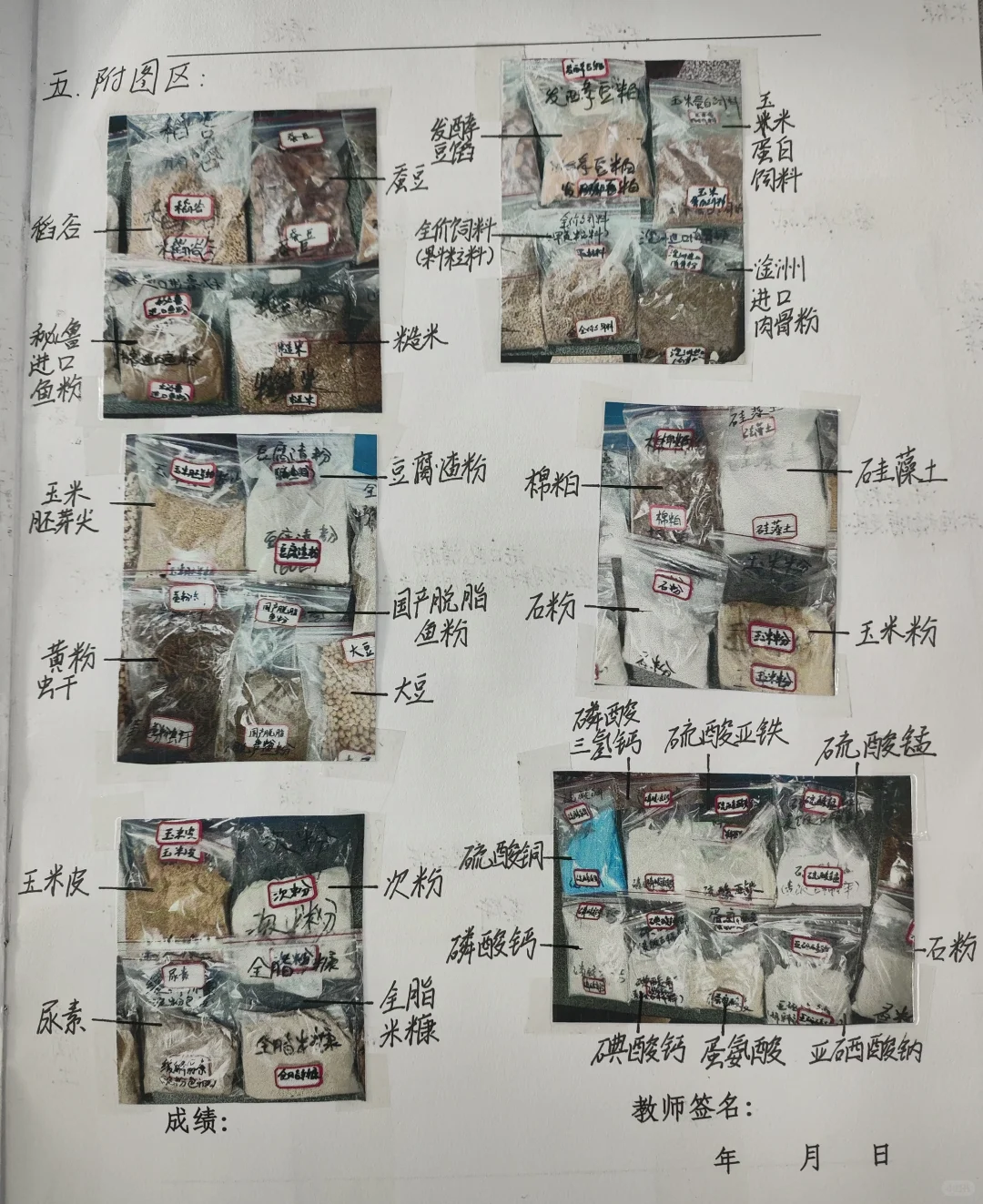 饲料原料的识别与品质鉴定