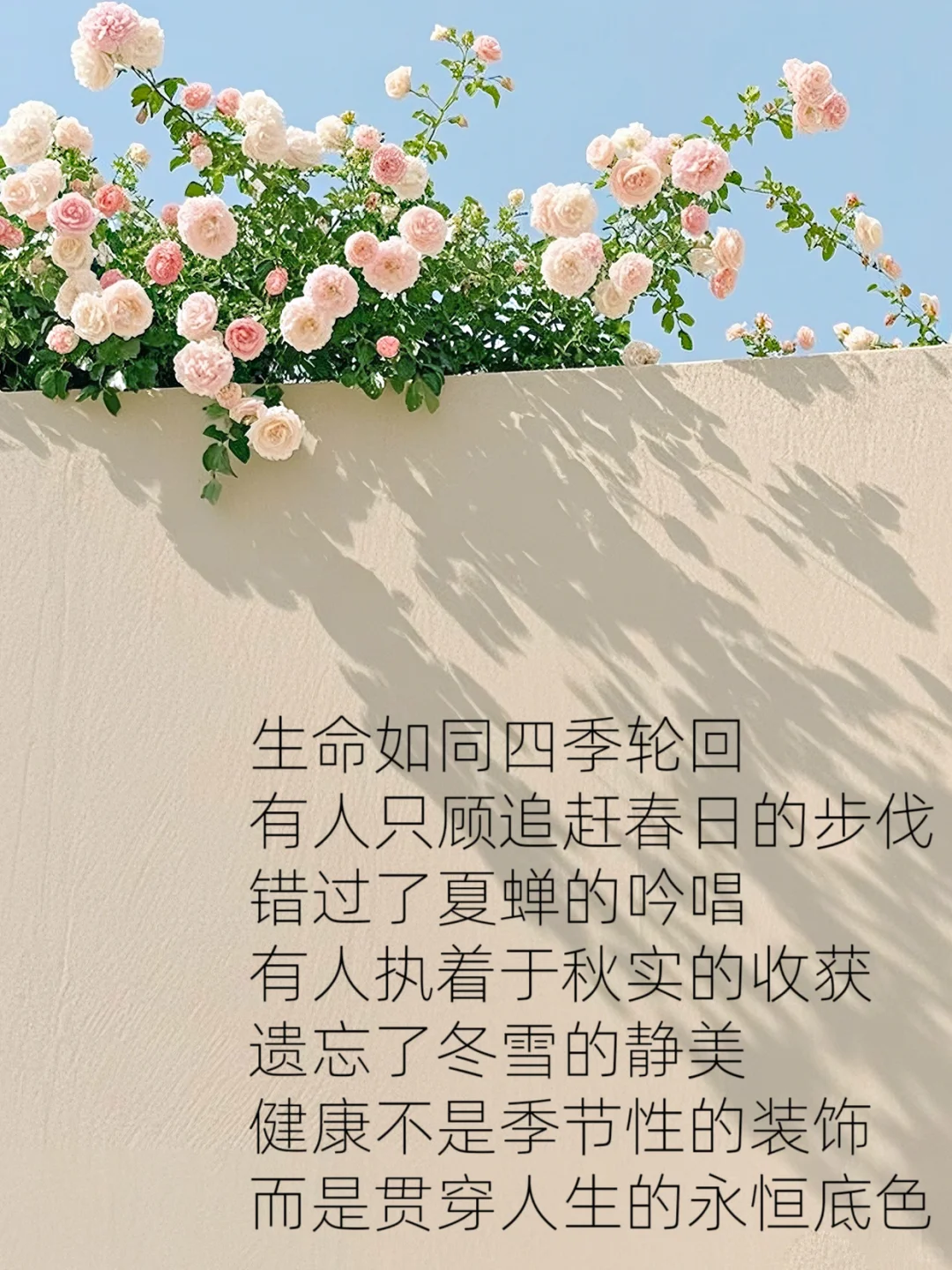 每日养生小知识?慢养人生