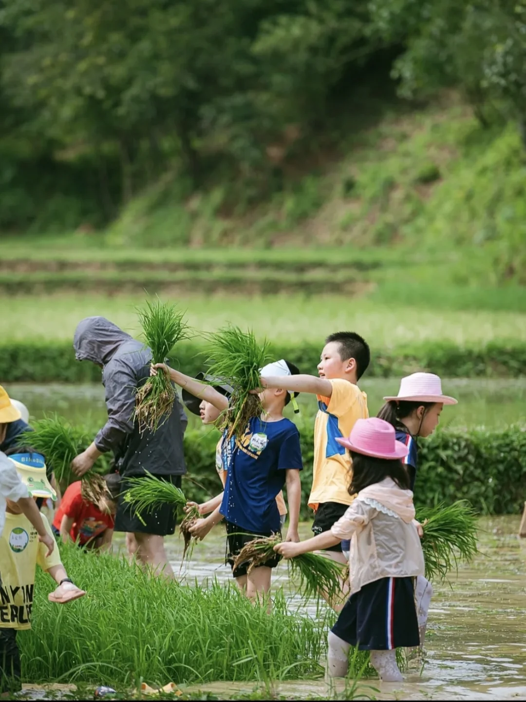 文旅＋研学 乡村振兴新模式