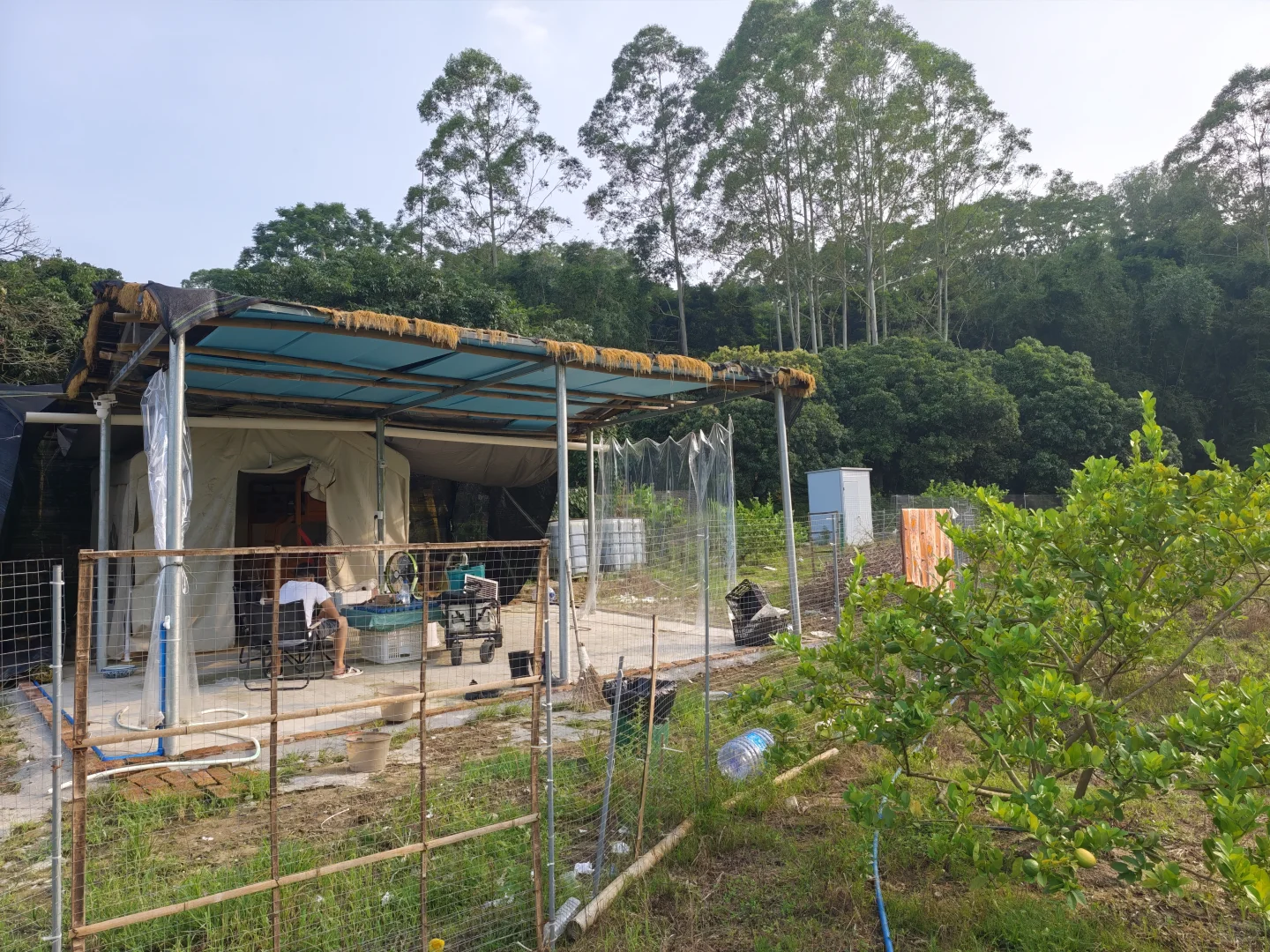 果园出租 农庄转让 着急拆伙出手