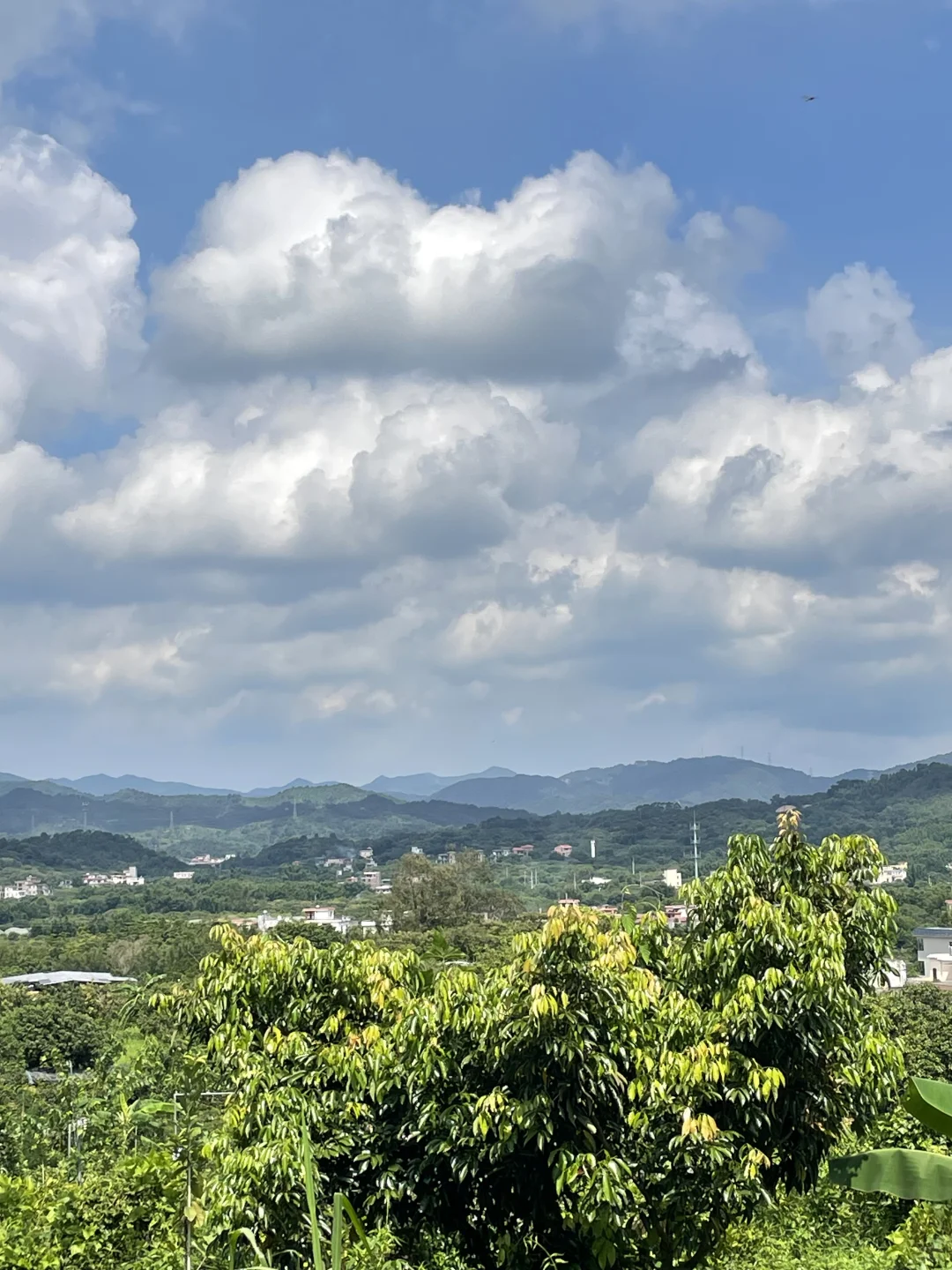 女人真的不能搞农场！