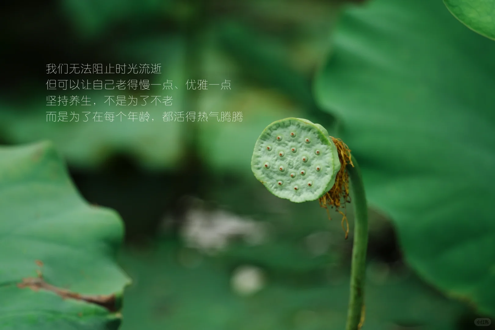 2025年守住健康，才是守住生活的底气