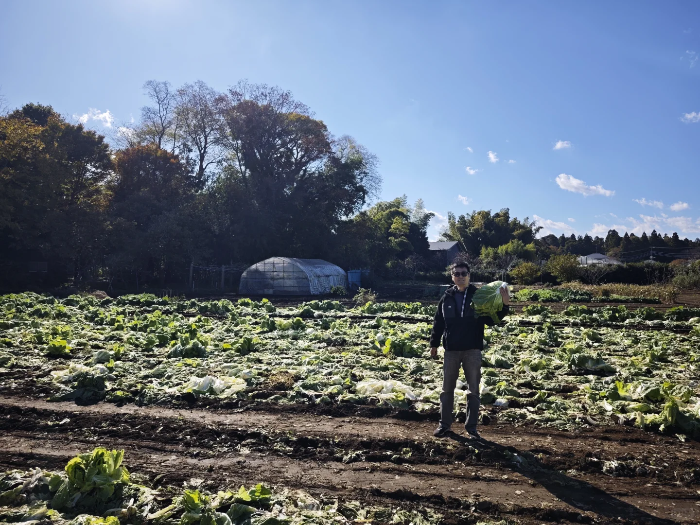 每周末从东京到千叶去自采蔬菜!