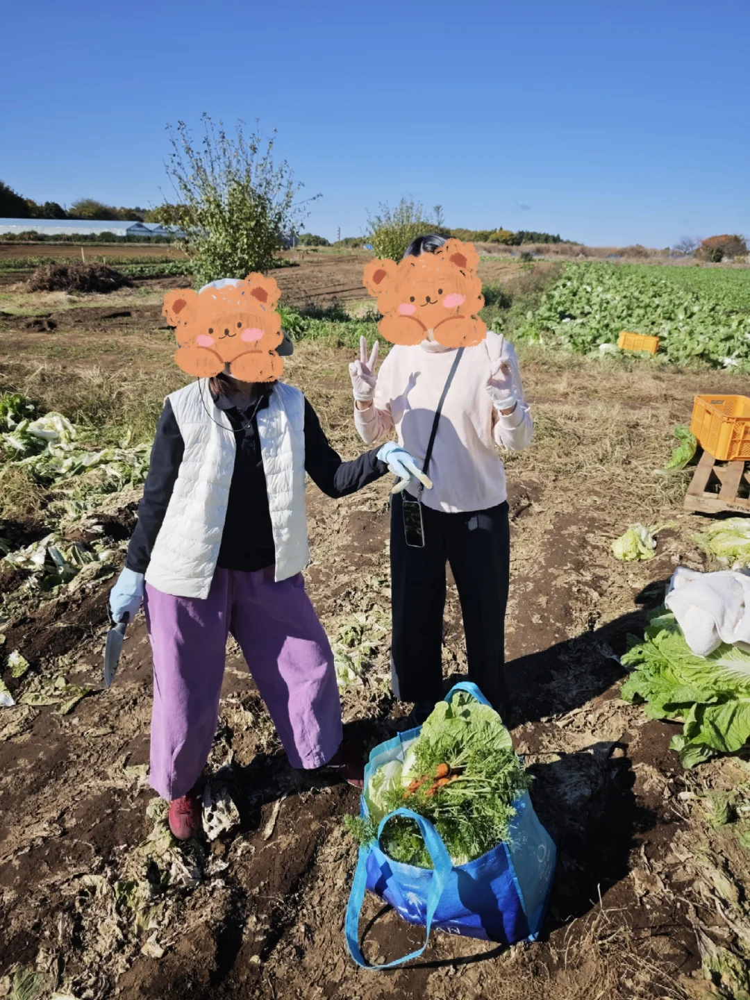 每周末从东京到千叶去自采蔬菜!
