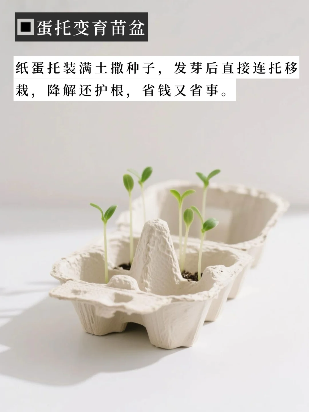 极简生活 | 如果舍不得扔，那就用光吧