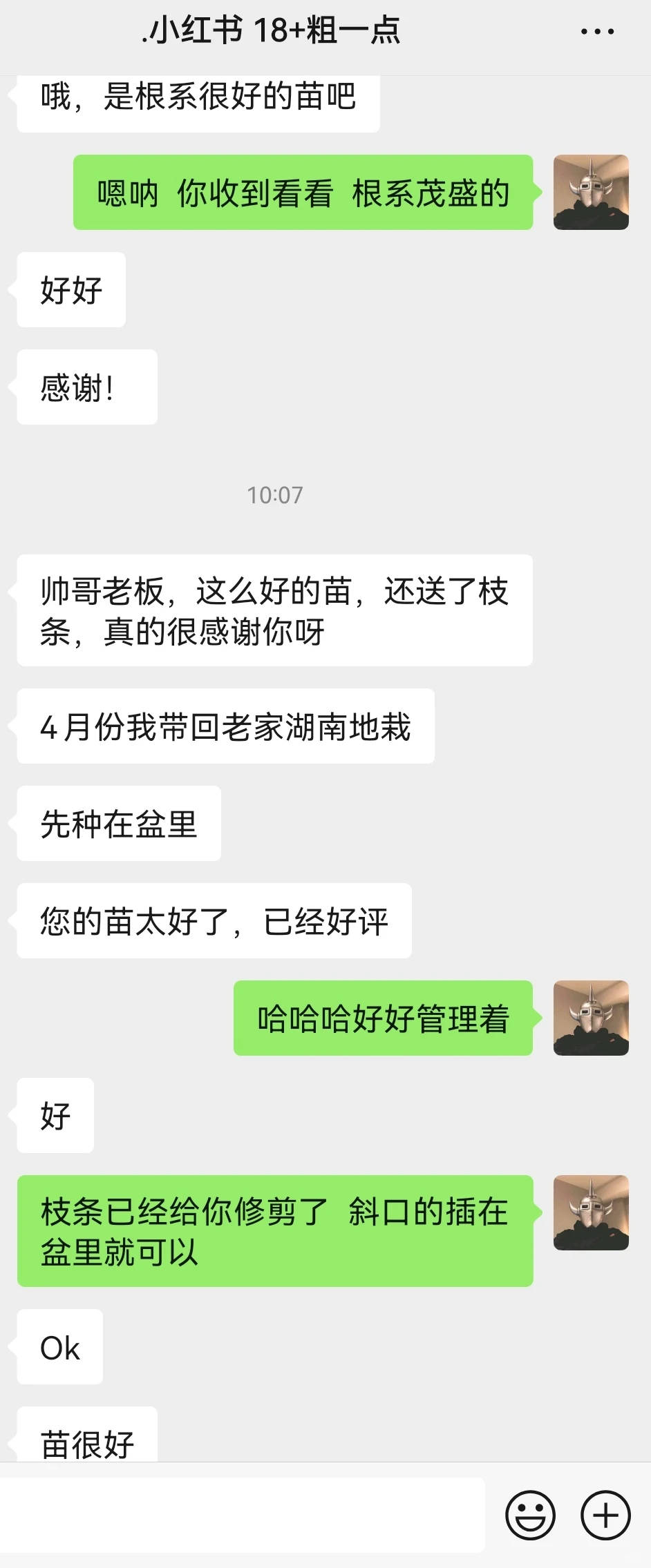 又是被夸的一天！?买葡萄送枝条