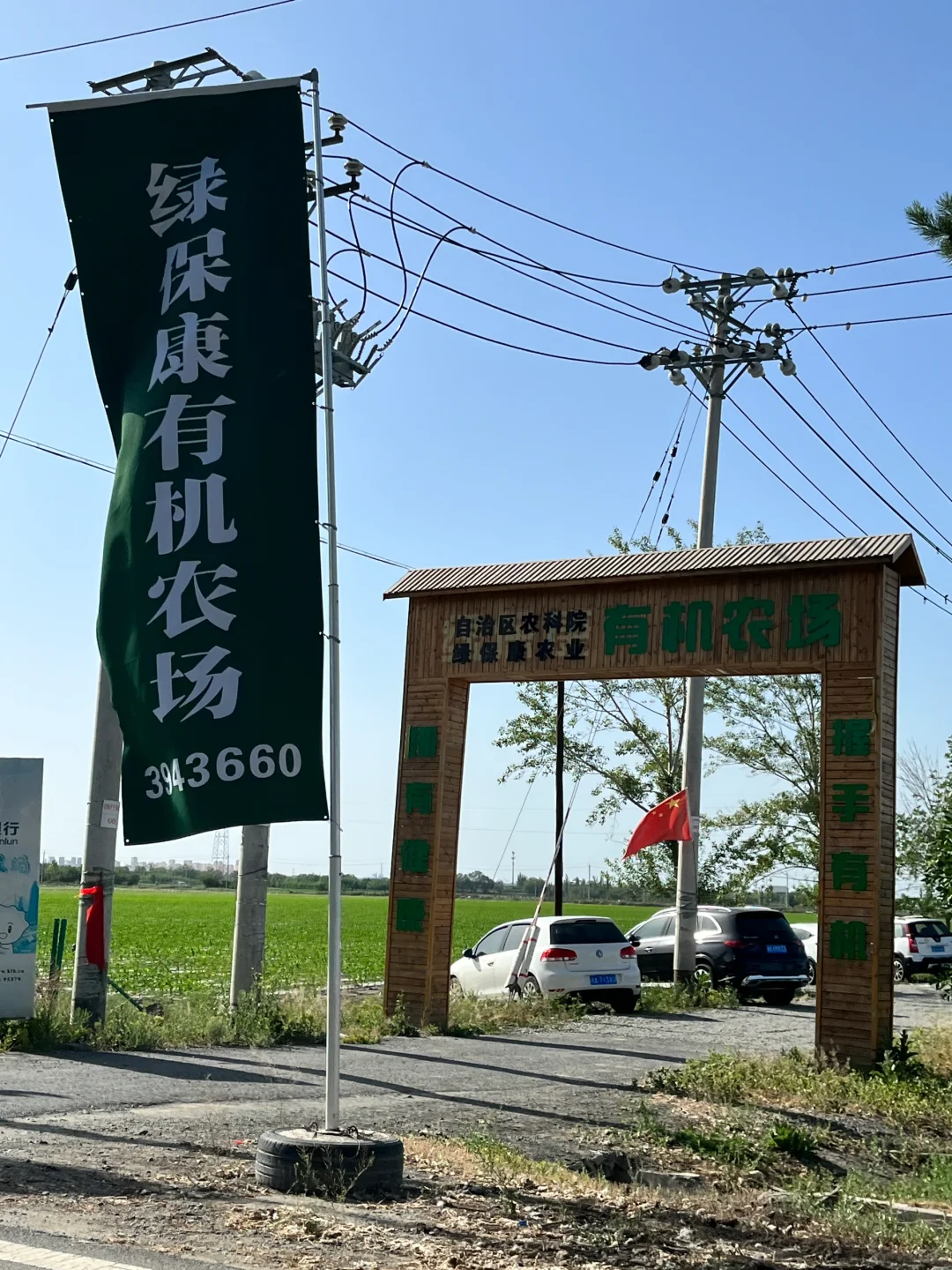 ?自驾30分钟！带娃采摘的好地方又被我发现