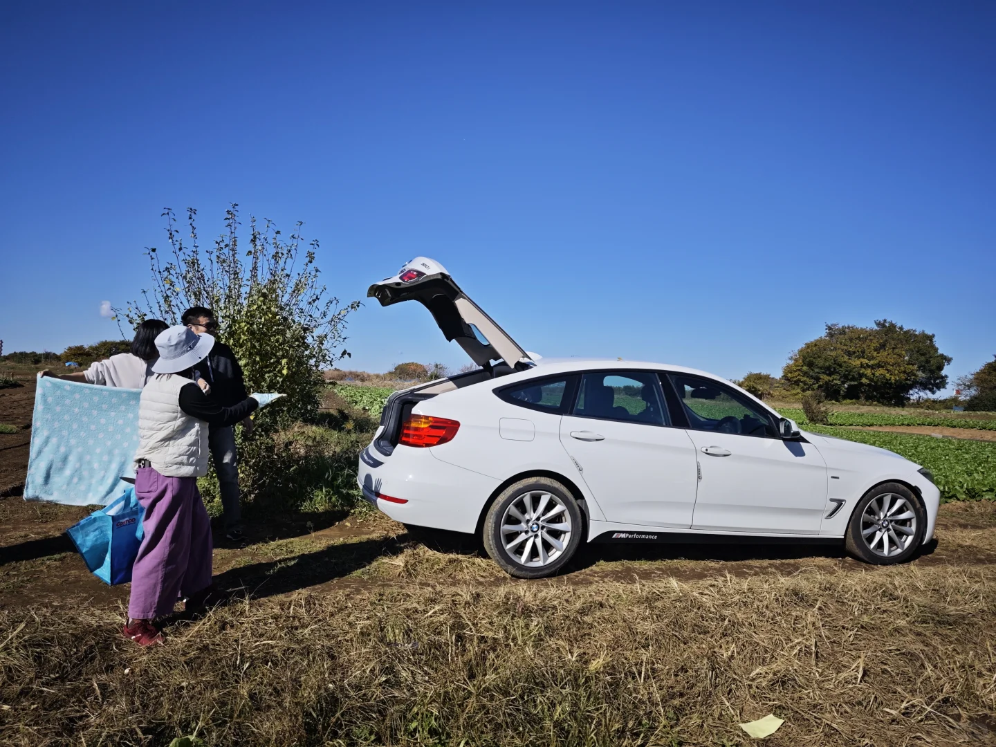 每周末从东京到千叶去自采蔬菜!