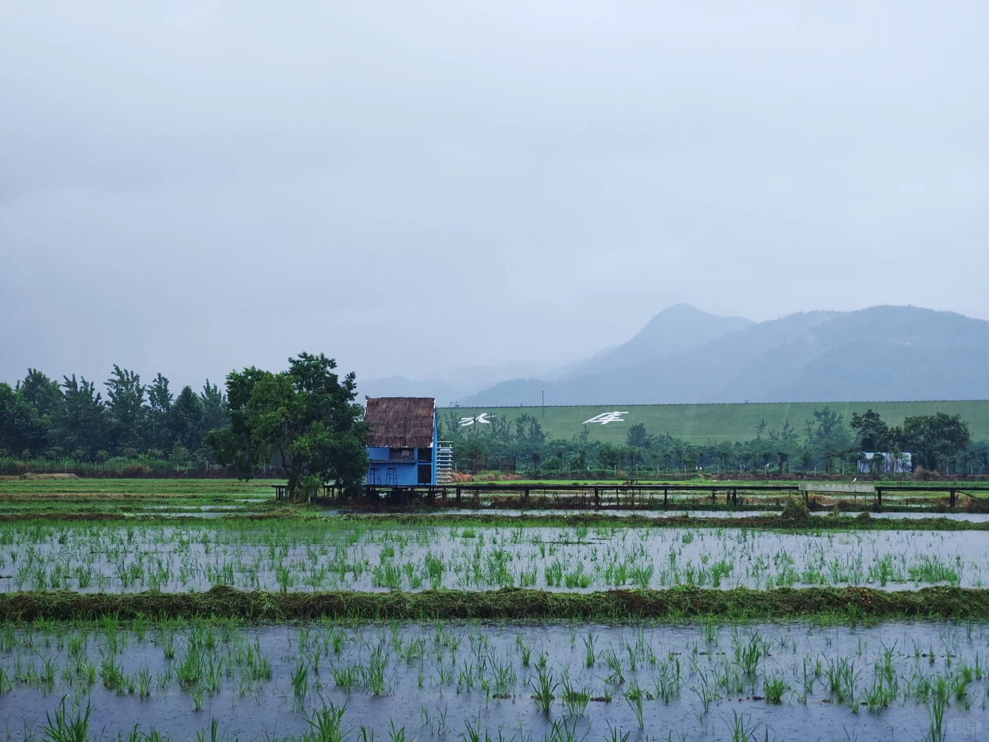 乡村工作第九年