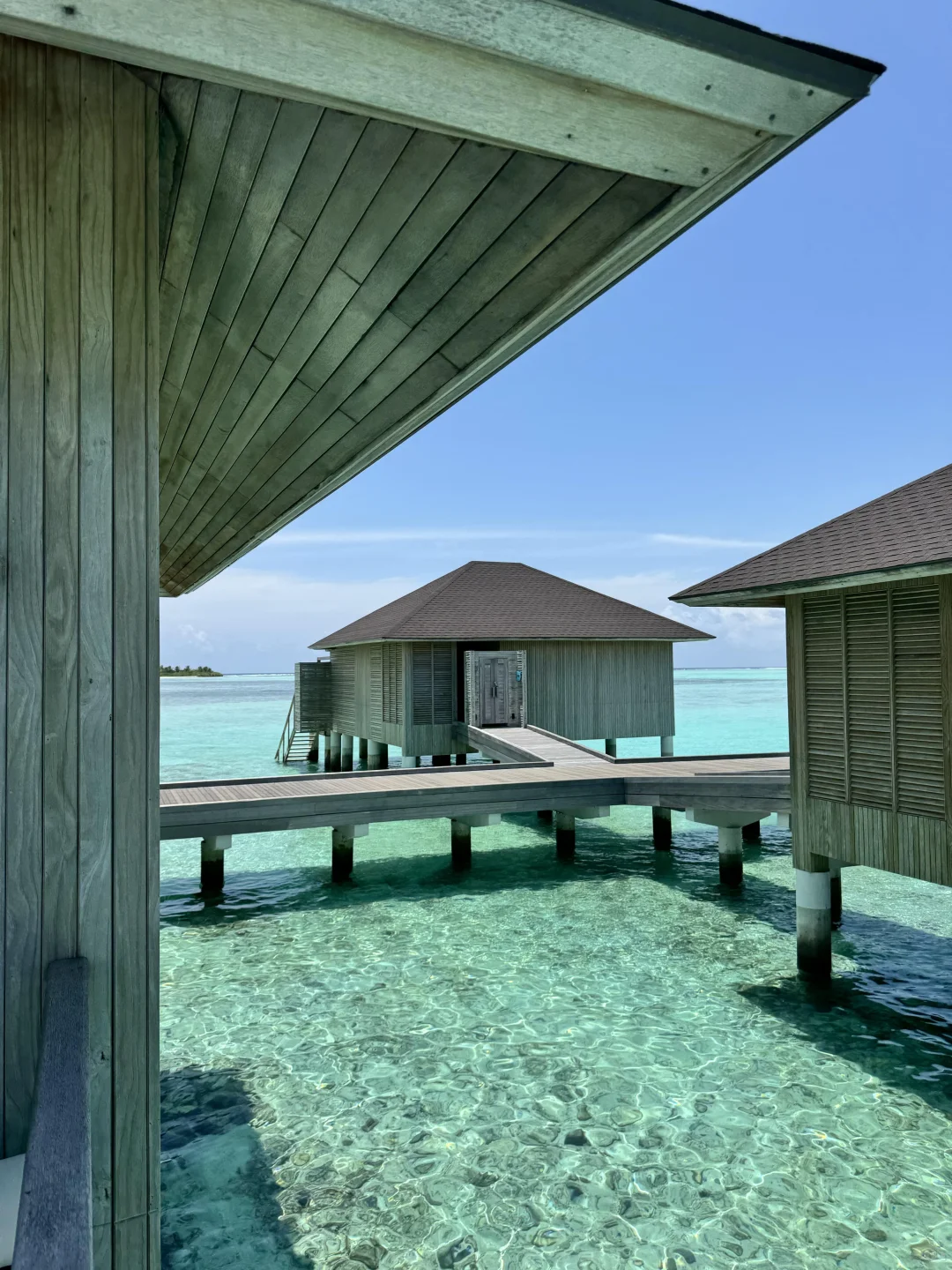 去马代就死磕马蒂富士，便宜到怀疑人生！