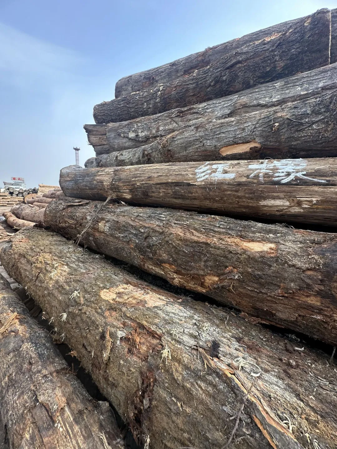 【进口知识】木材进口知识(2)