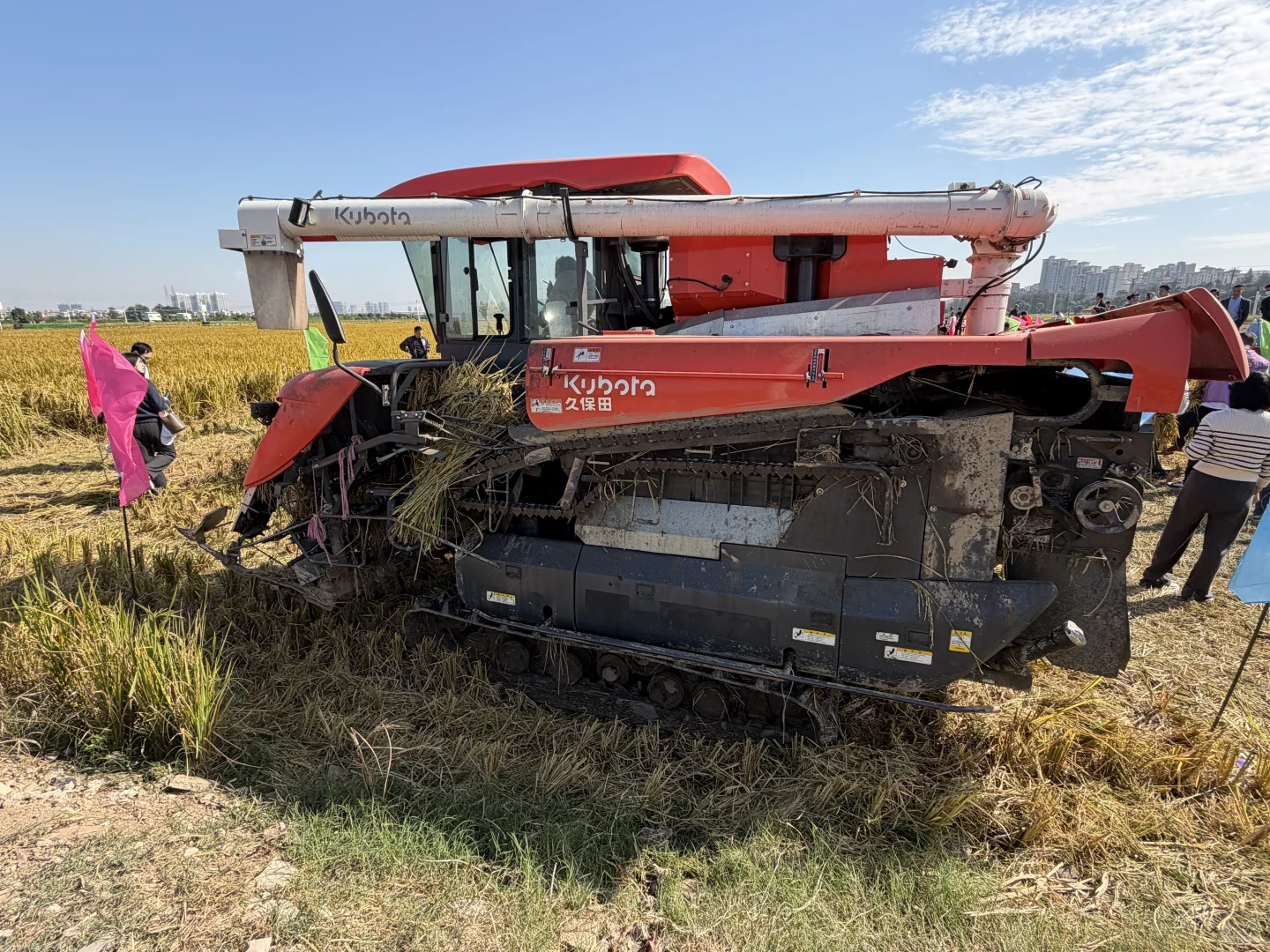 ? 晚稻割禾，又见久保田