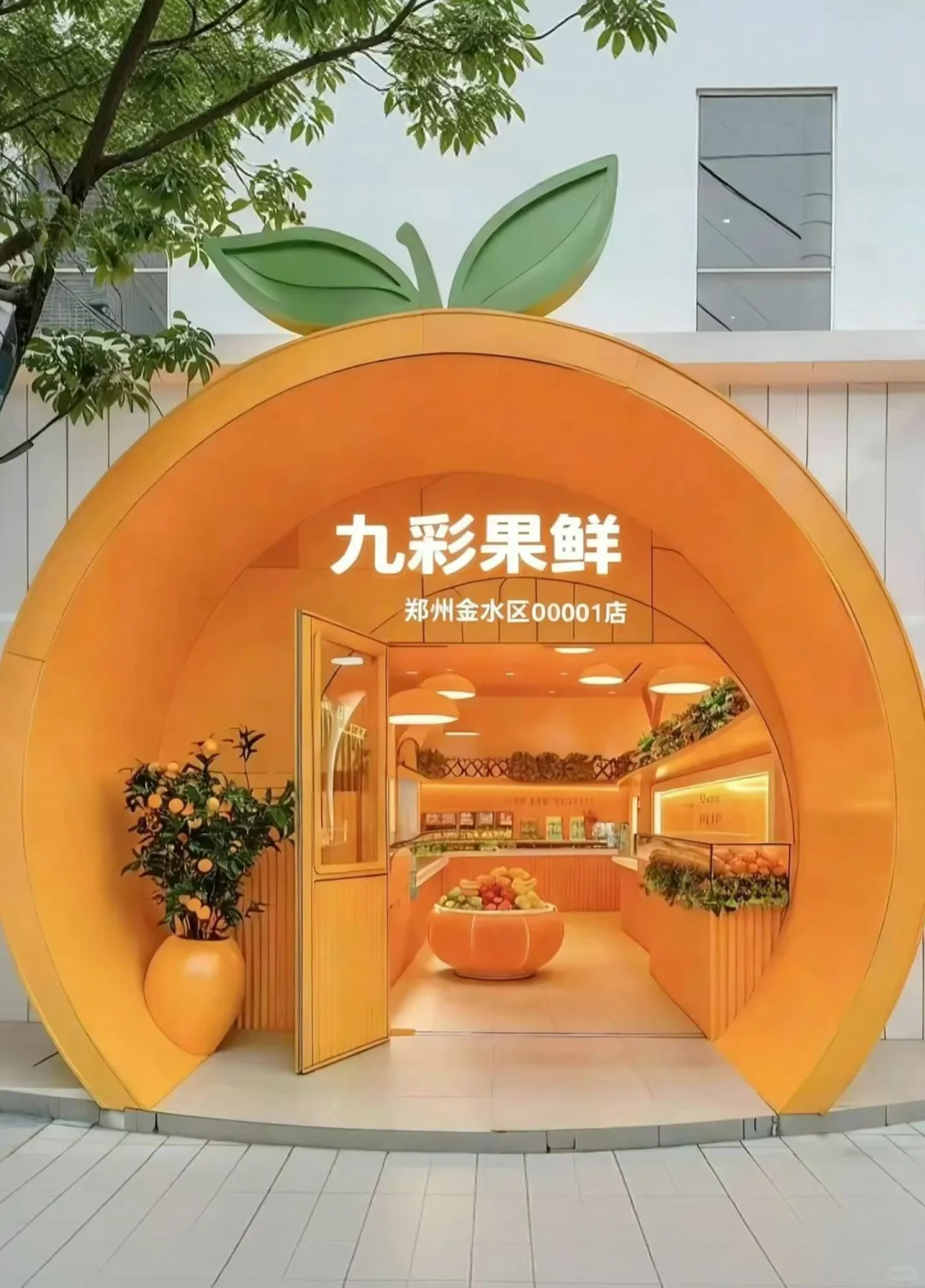 科技赋能，重塑水果产业新未来