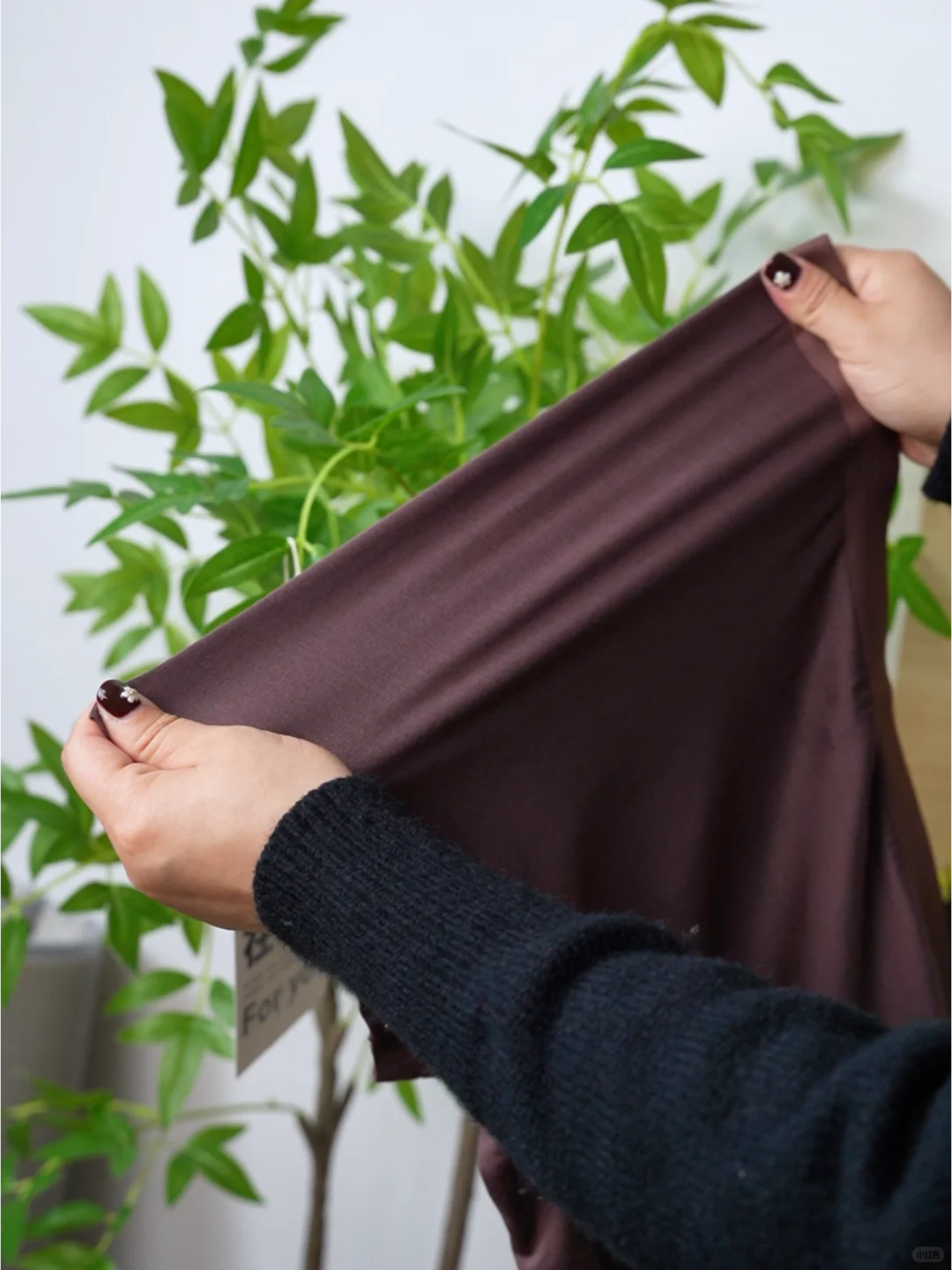 兄弟们冲！19.9?羊毛内裤，抑菌防臭