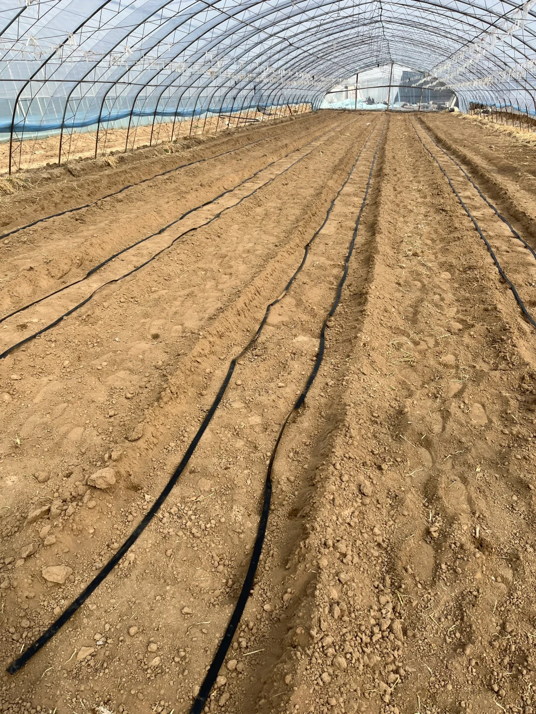 3年1万租大棚，周末兼职有机农民