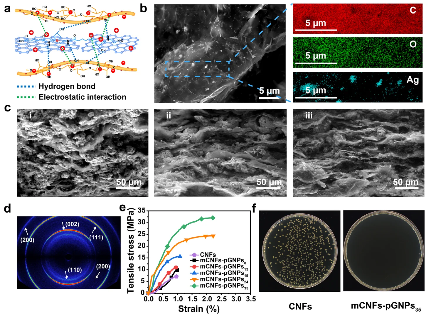 Adv Mater：纤维素纳米纤维基复合材料