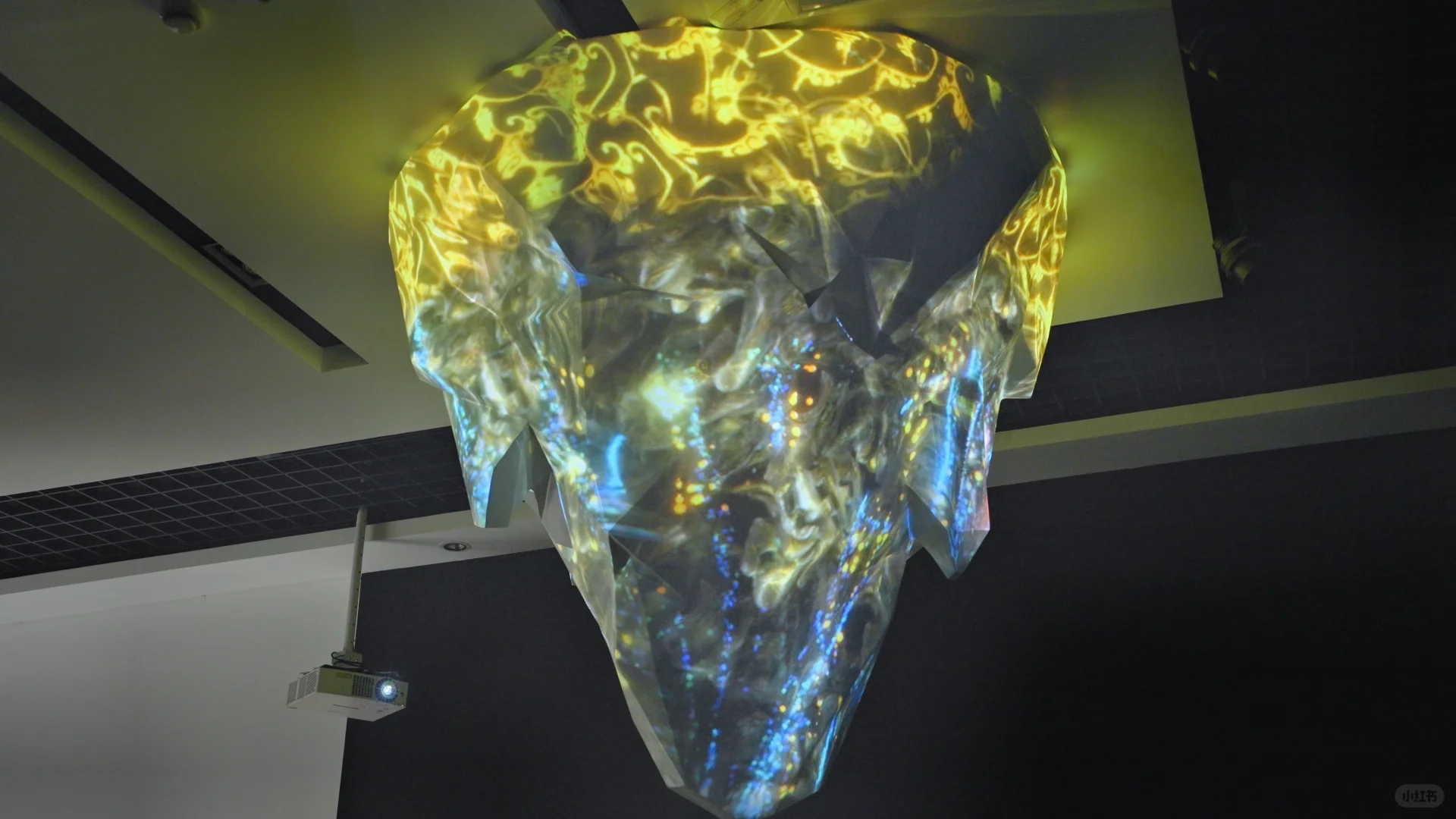 暑假遛娃?来看限时数字艺术展！