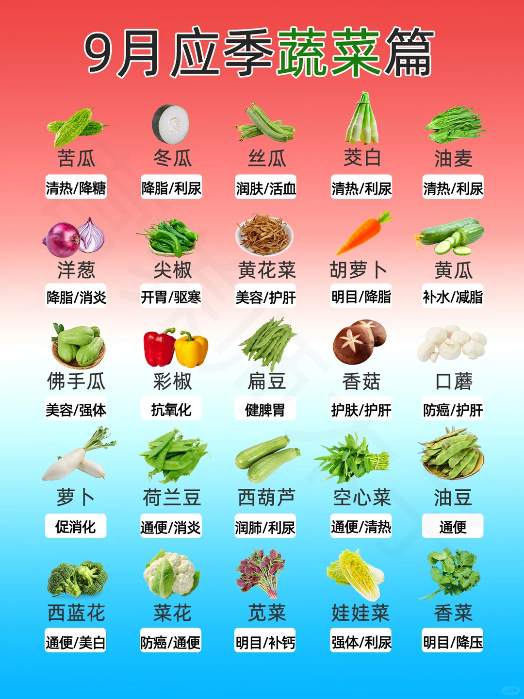 9月应季蔬菜篇?