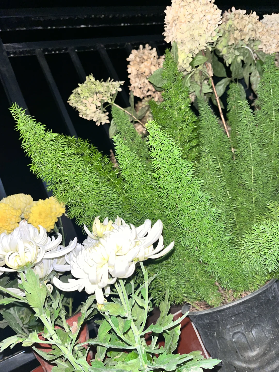 均价不到20的植物