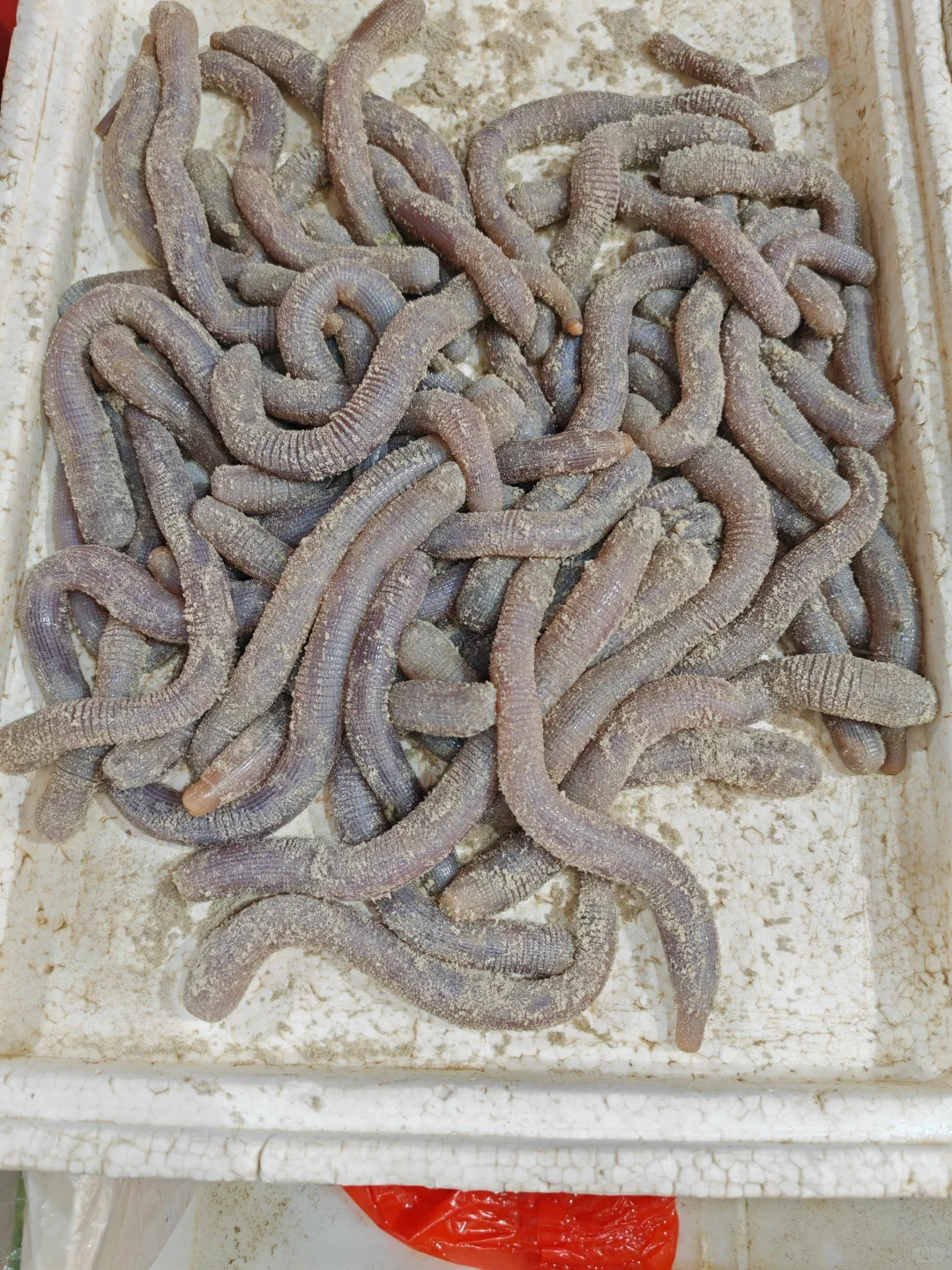 北海海鲜加工真的太贴心了‼️“不满意重做