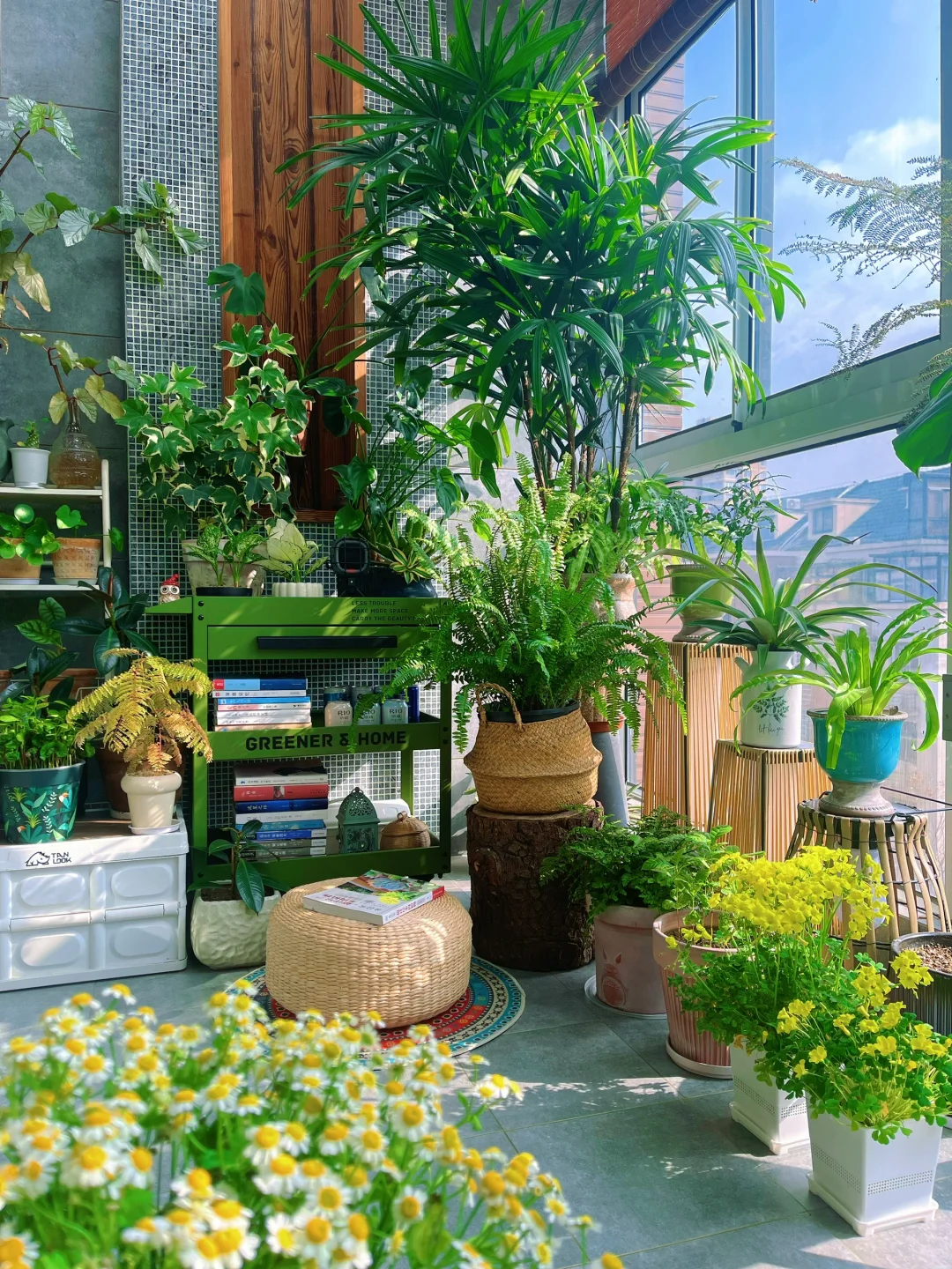 我的2023阳台小森林布置18图｜供参考