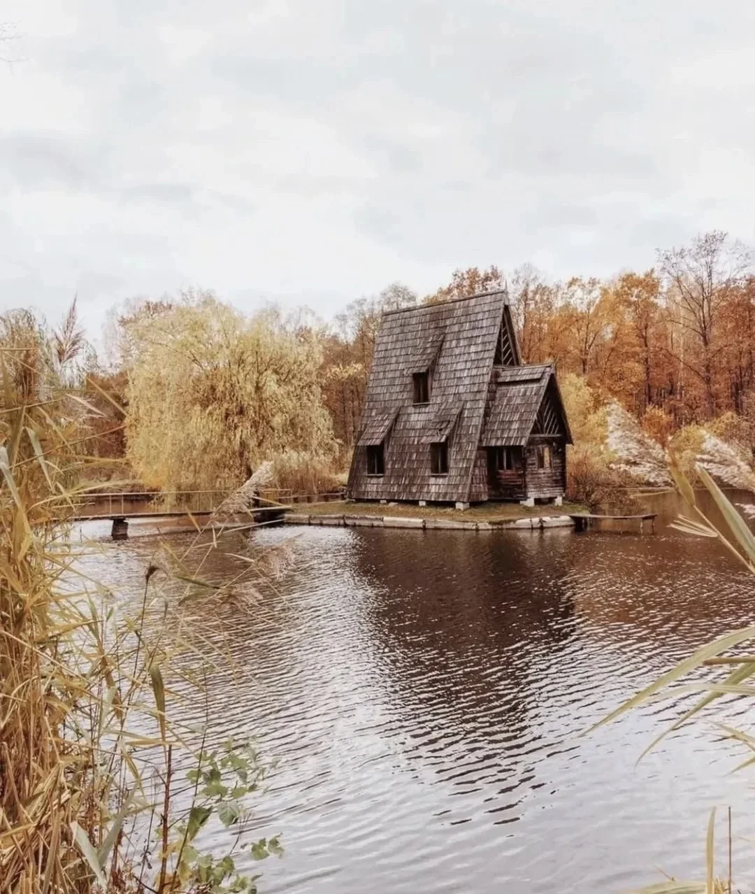 ?绝美木屋?你绝对想不到这里是做什么的