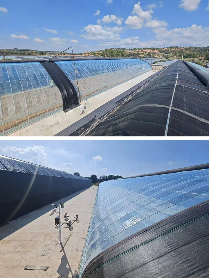 节能技术在温室大棚中的应用