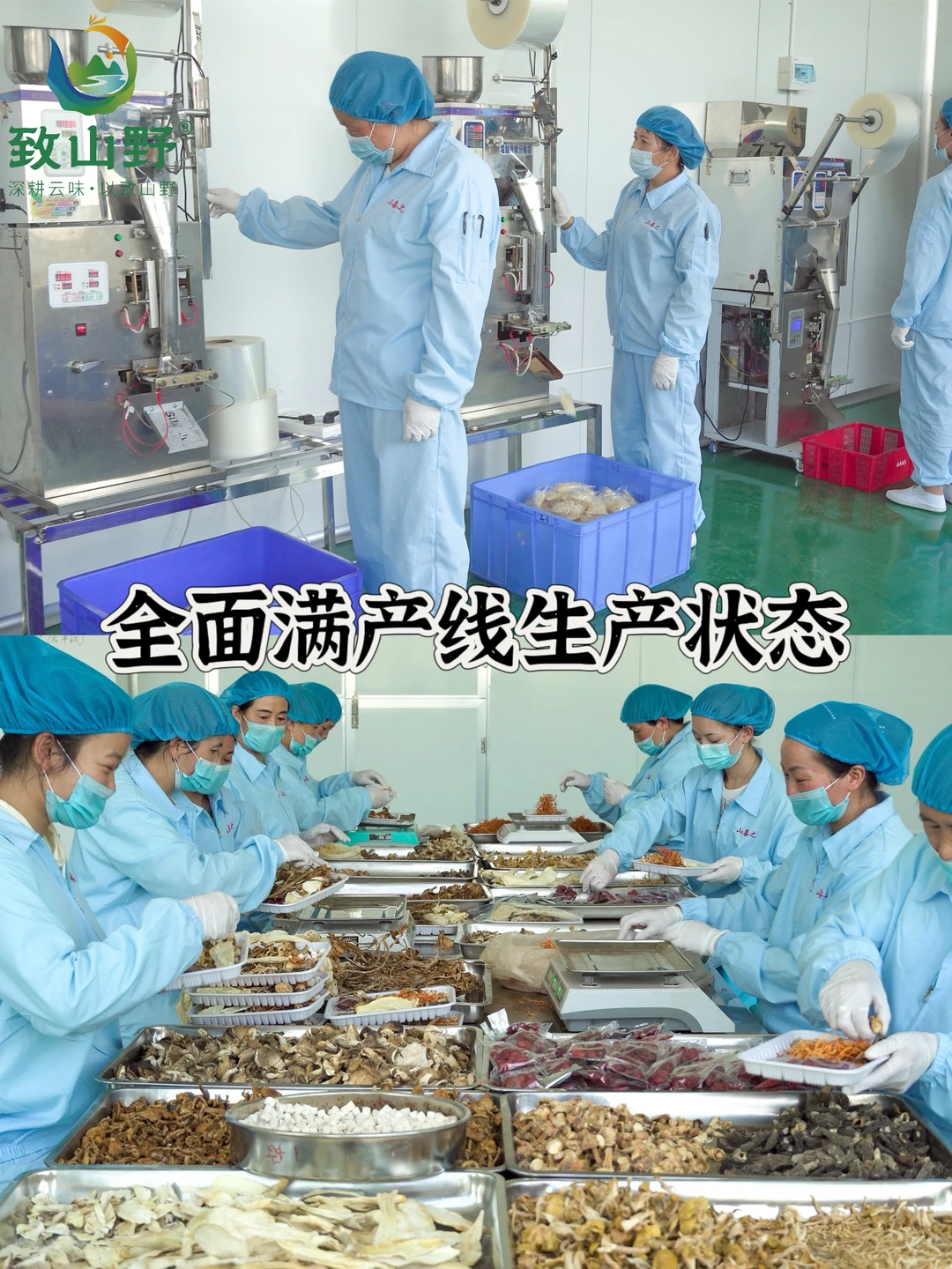 食品界的宝藏源头工厂被我找到了！！！