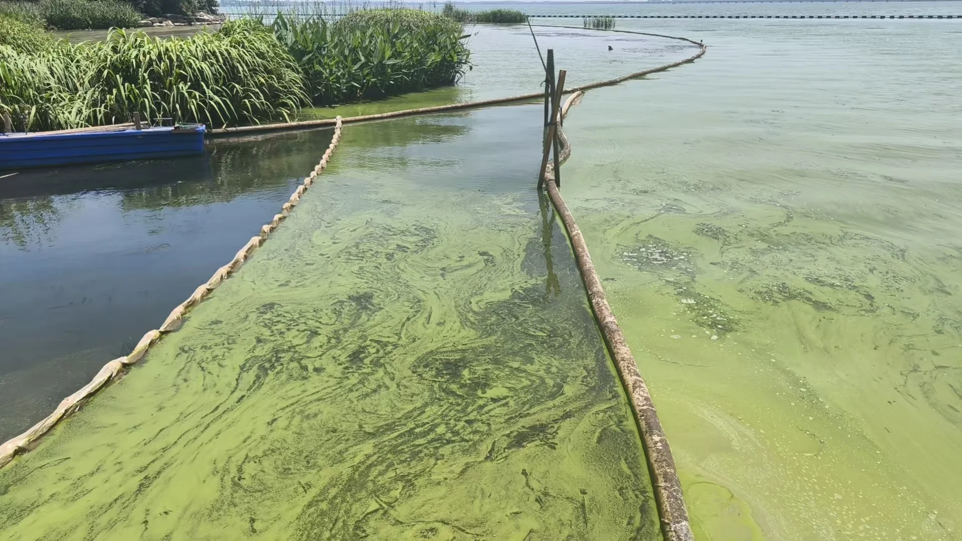 河湖治理新生记