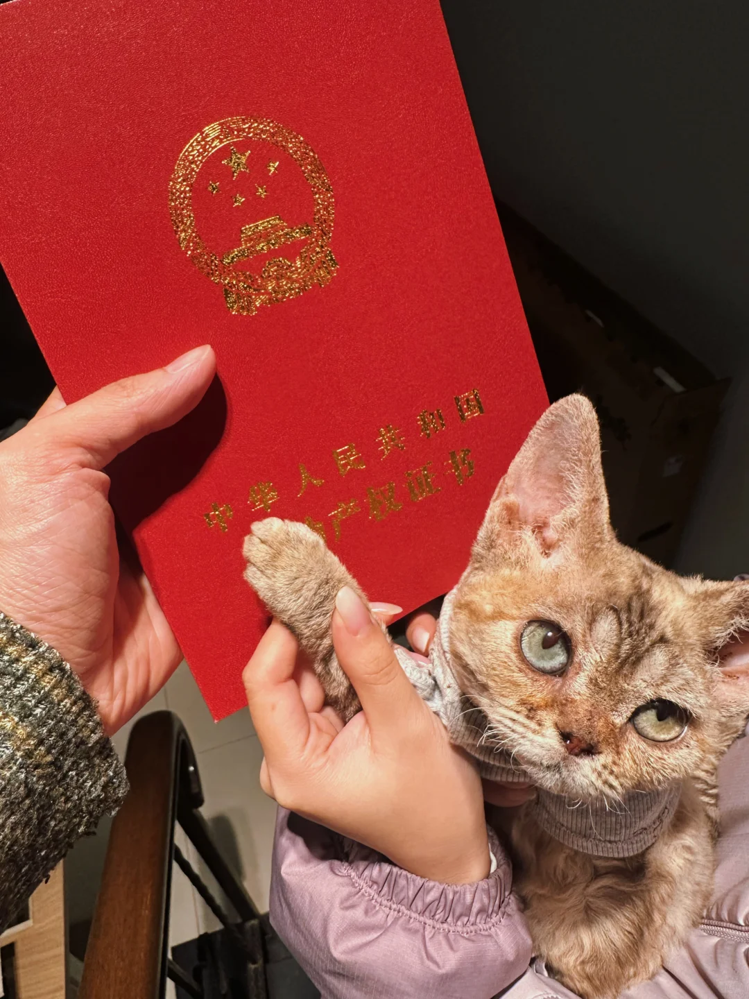 三口之家?计划启动！