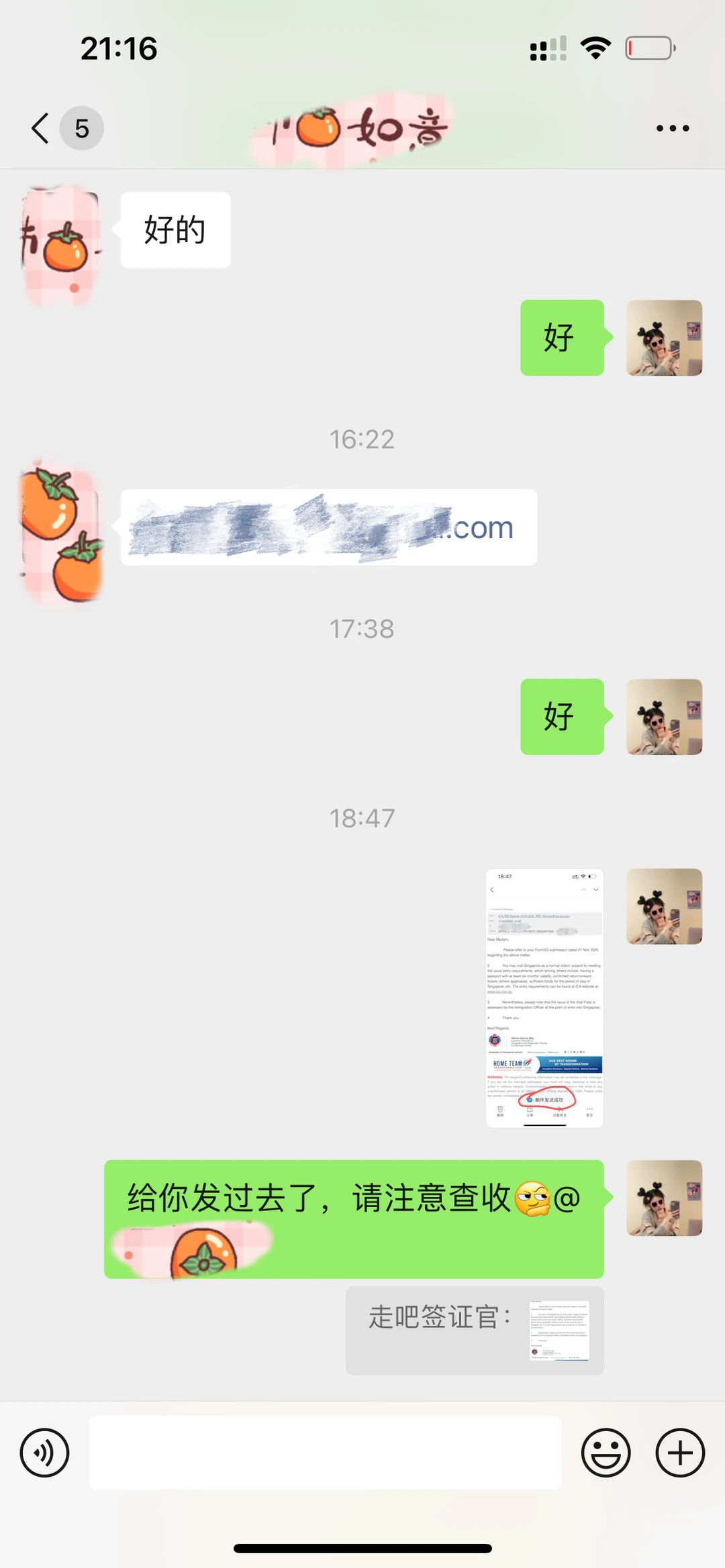免签后，新加坡为什么会有这么多遣返❓?