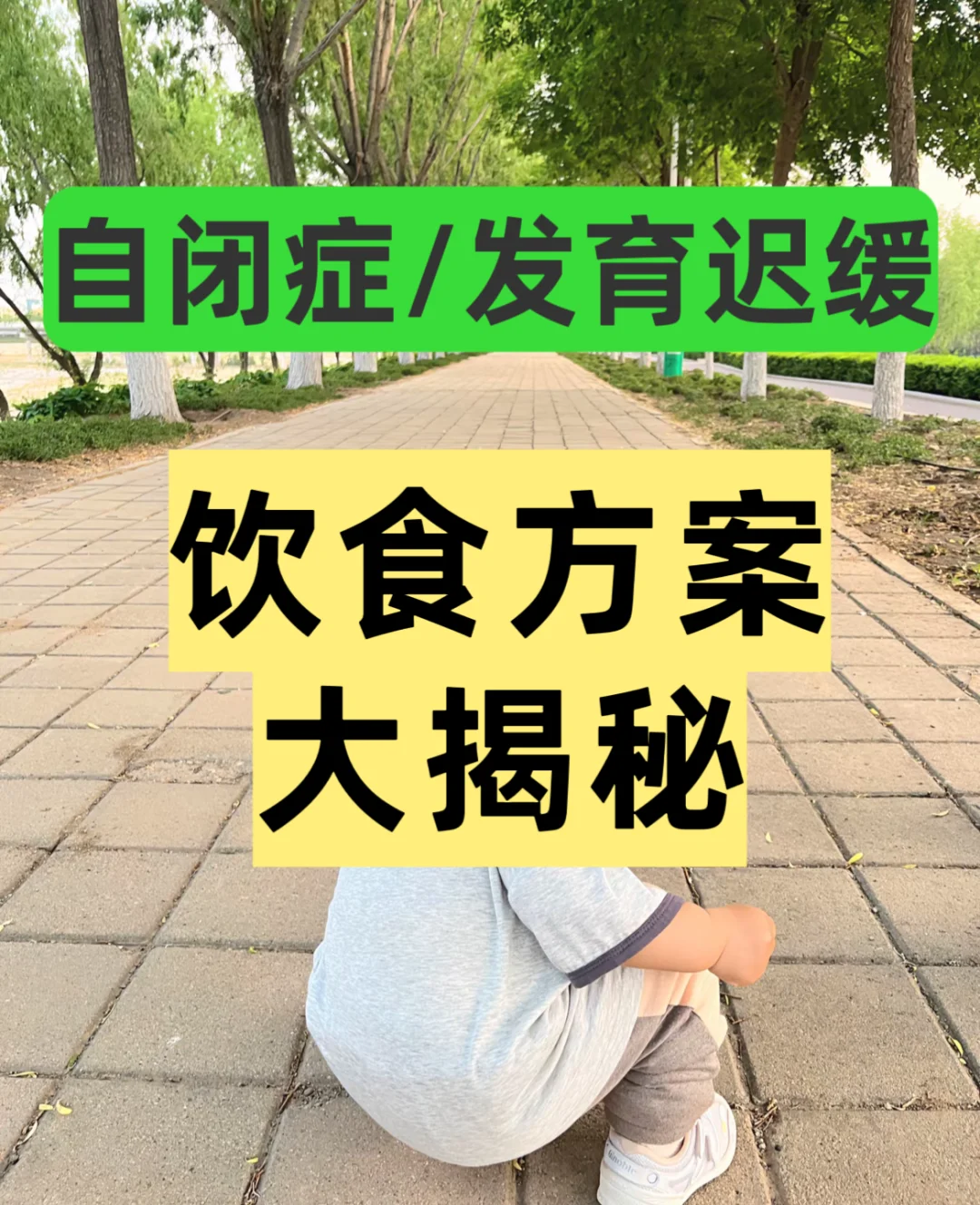 自闭症/发育迟缓孩子饮食方案大揭秘！