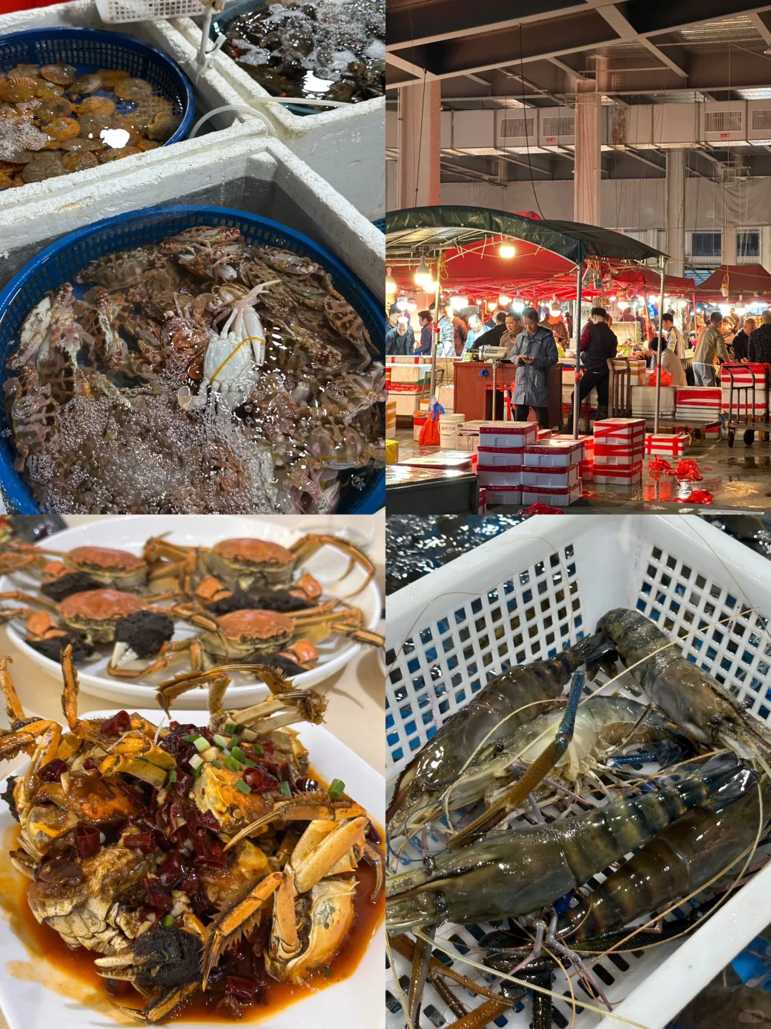 宁德新能源！居然藏着一个宝藏海鲜批发市场