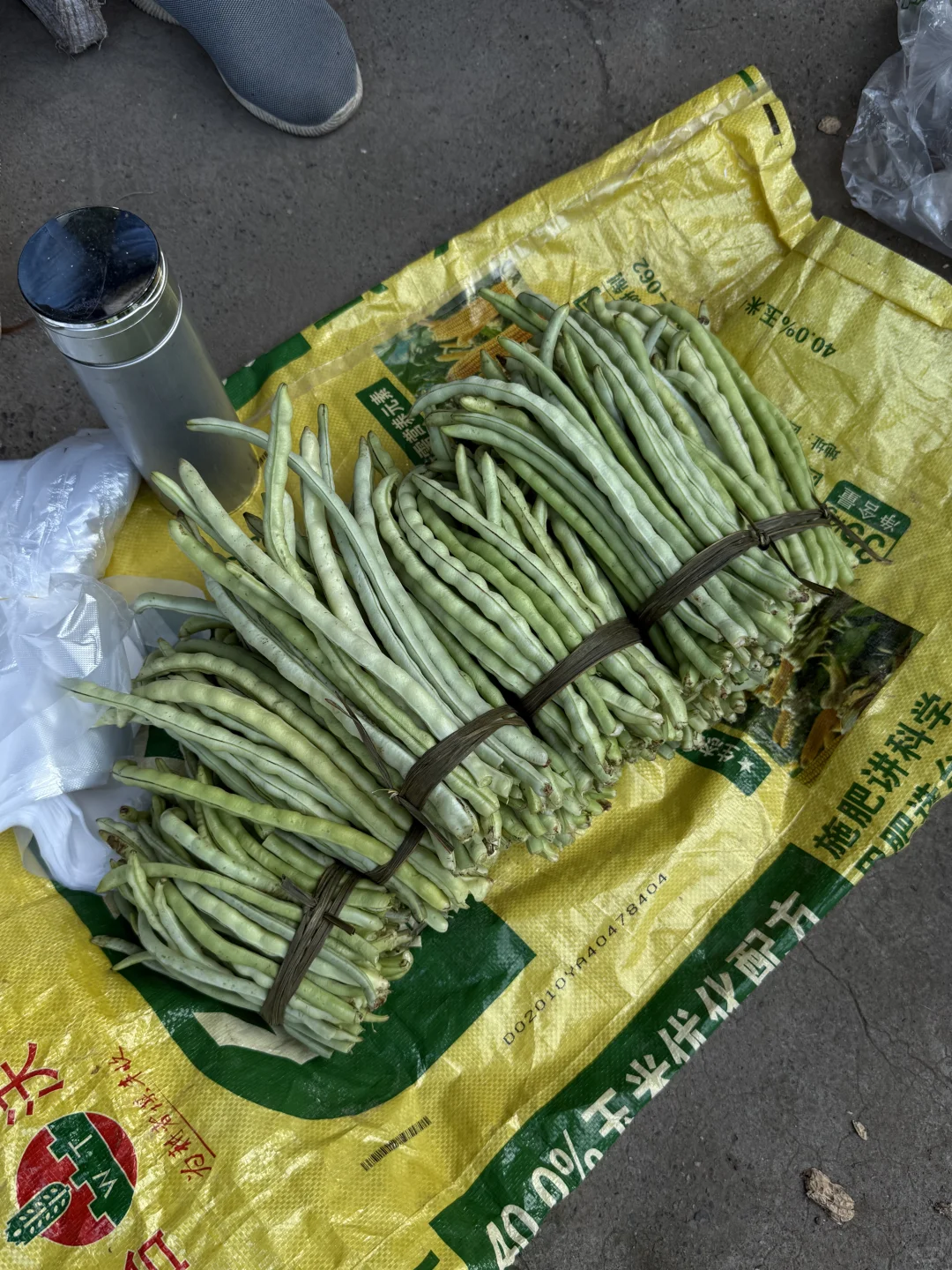 “靠山吃山：大山里这个季节吃啥…..”