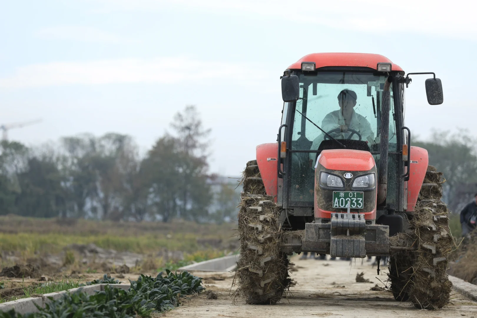 小何种地日记 第二弹