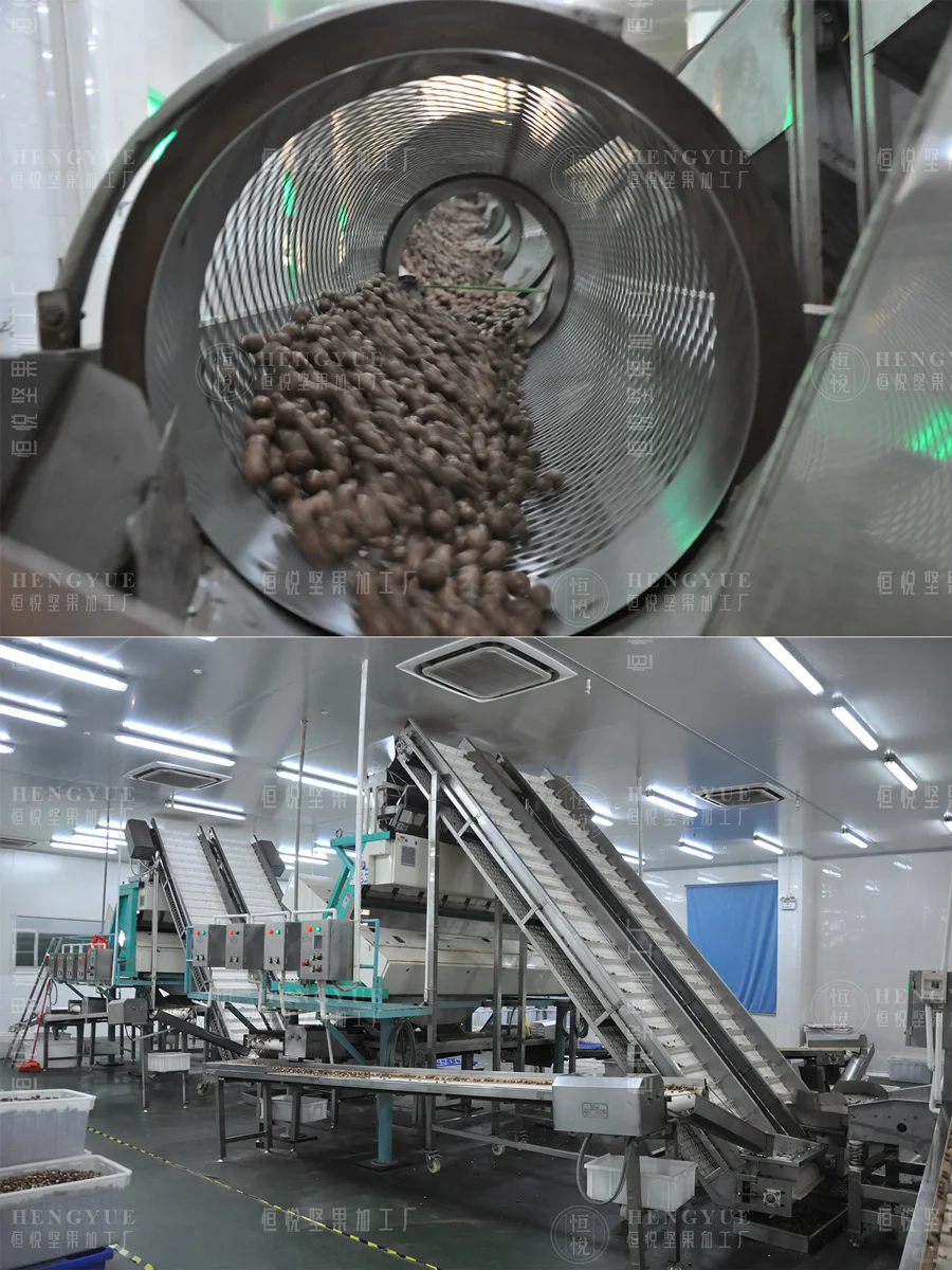 坚果加工生产日常，工厂直销批发坚果供货商