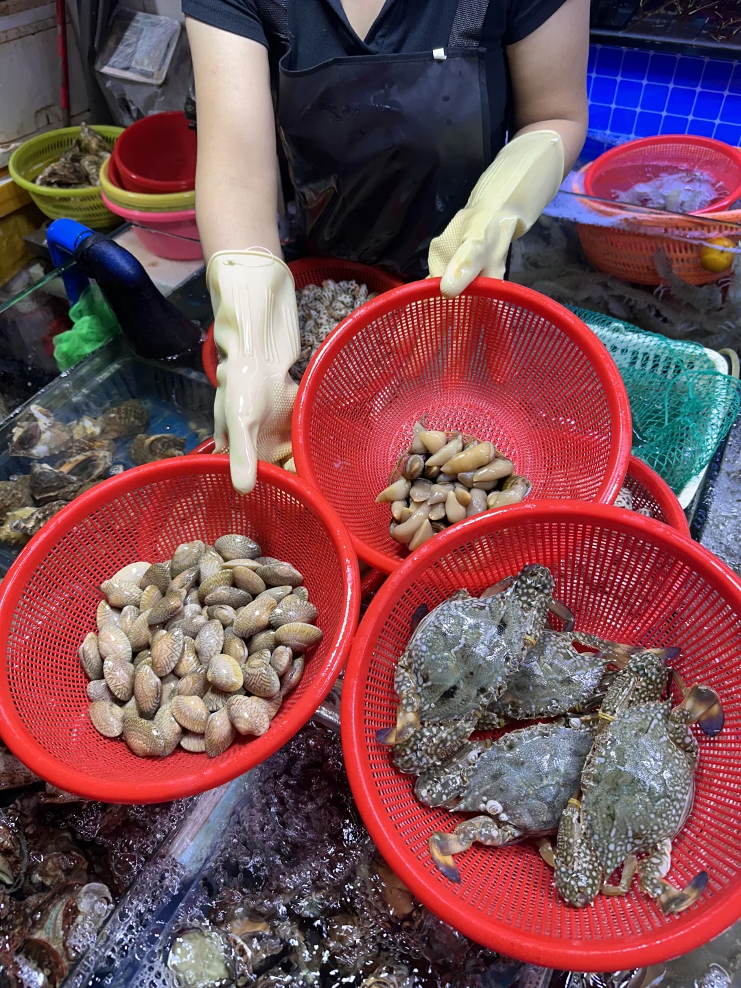 三亚本地人才来逛的市场不仅便宜种类还齐全