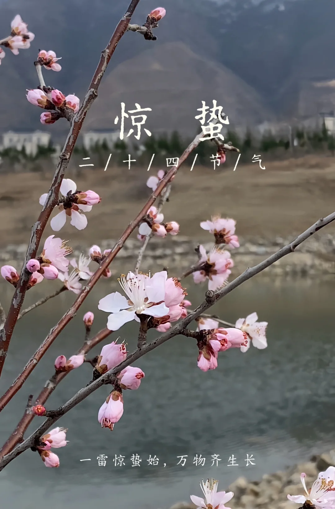 惊蛰要多吃种子 五谷露开启元气满满的一天