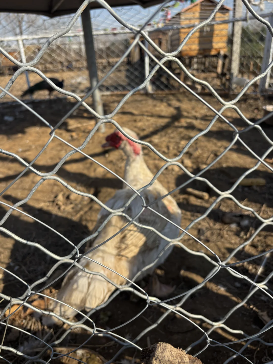 这个班真的太赞了！！！?