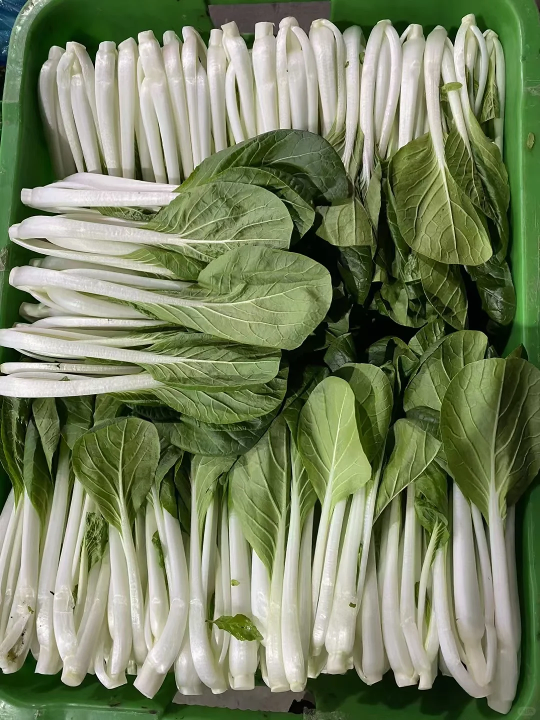 ?️供应商—广盛生鲜·专注食材配送欢迎大